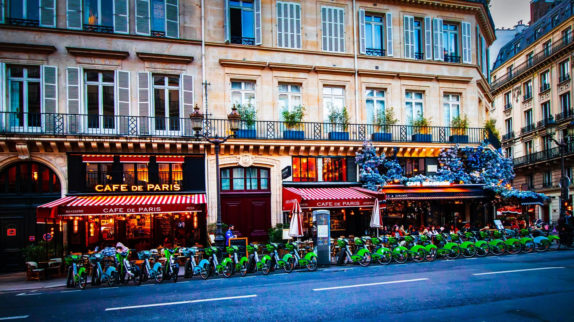 Brasserie buzz