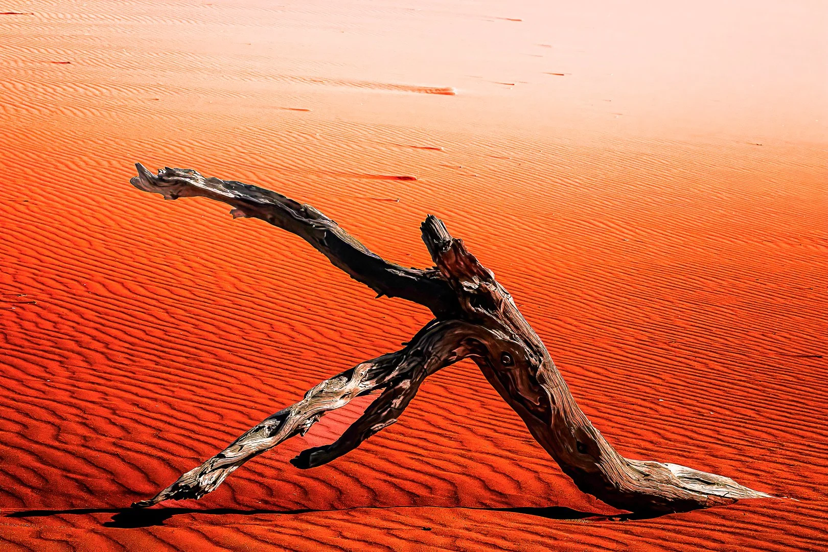 The fallen