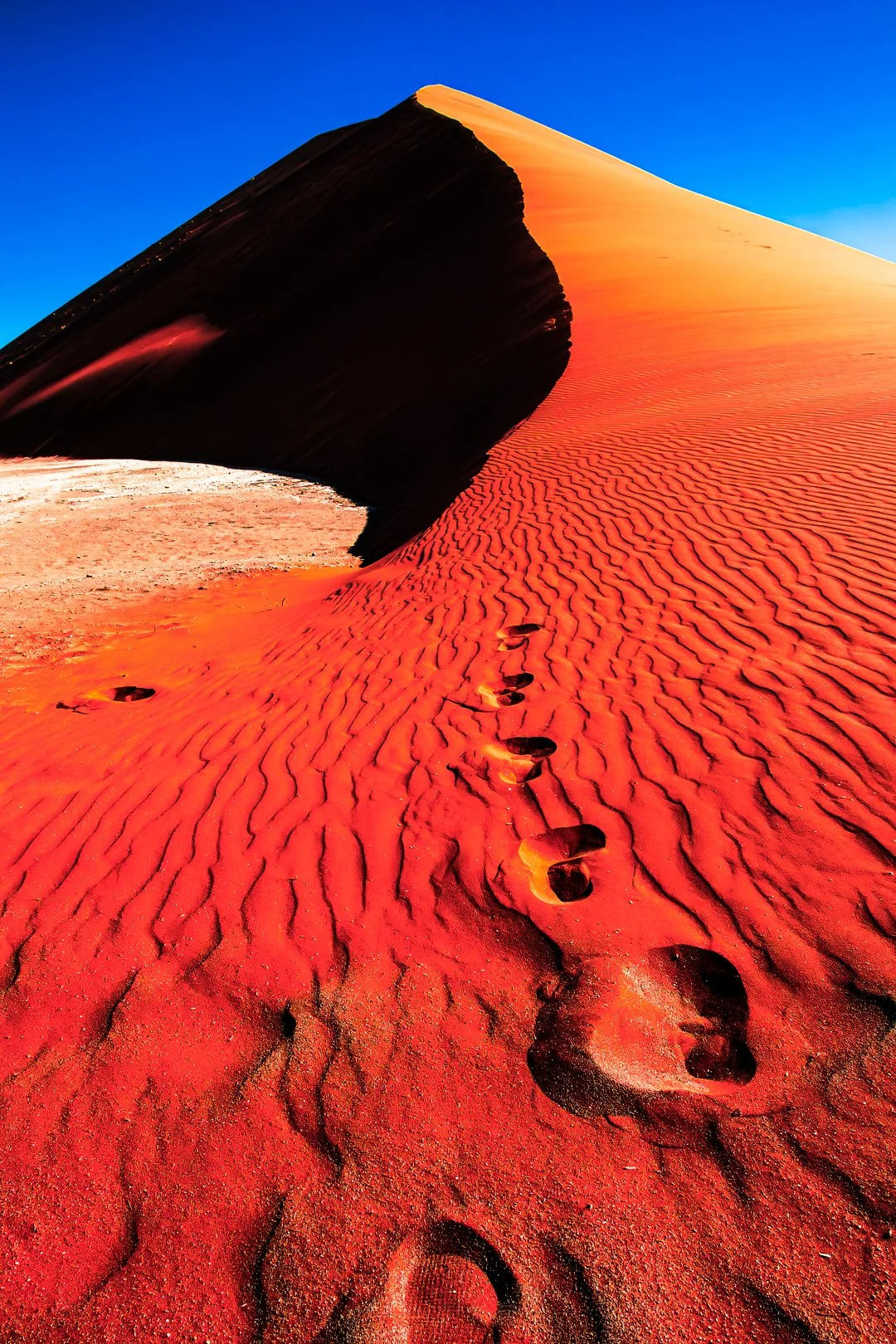 Desert claims its pilgrims