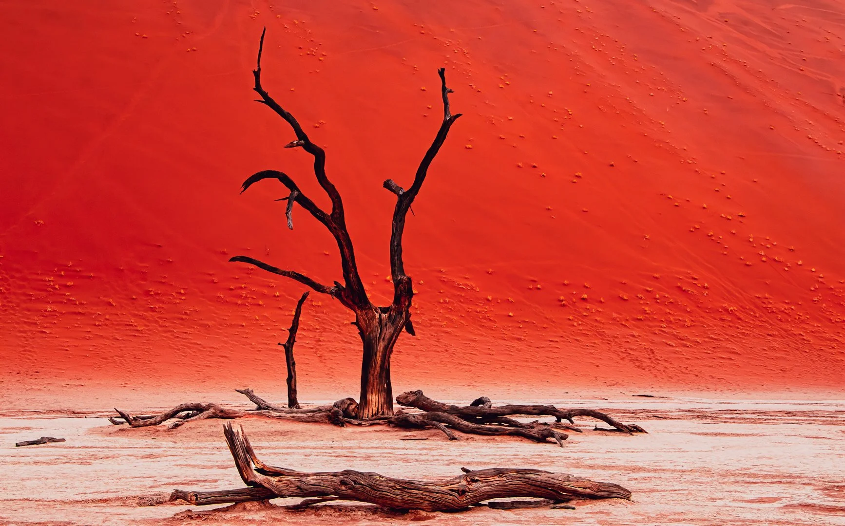 Alone against the red tide
