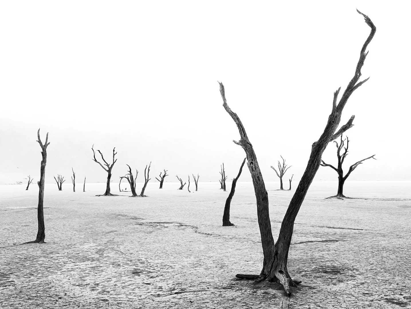 Silent graveyard