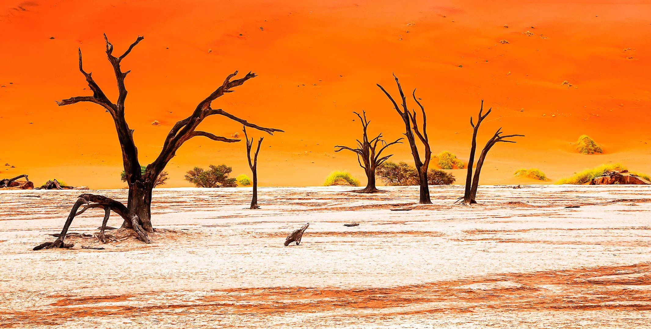 Burning horizon, frozen forest