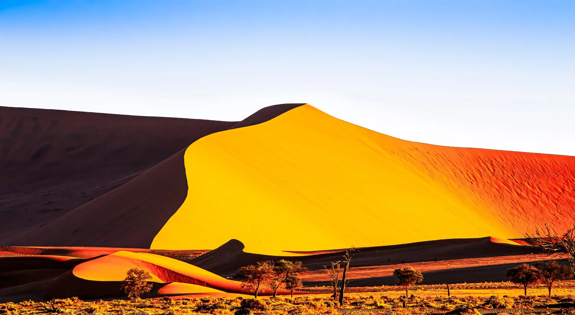 Namib calling
