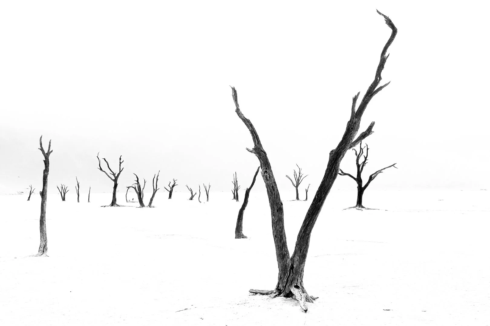 They remain standing
