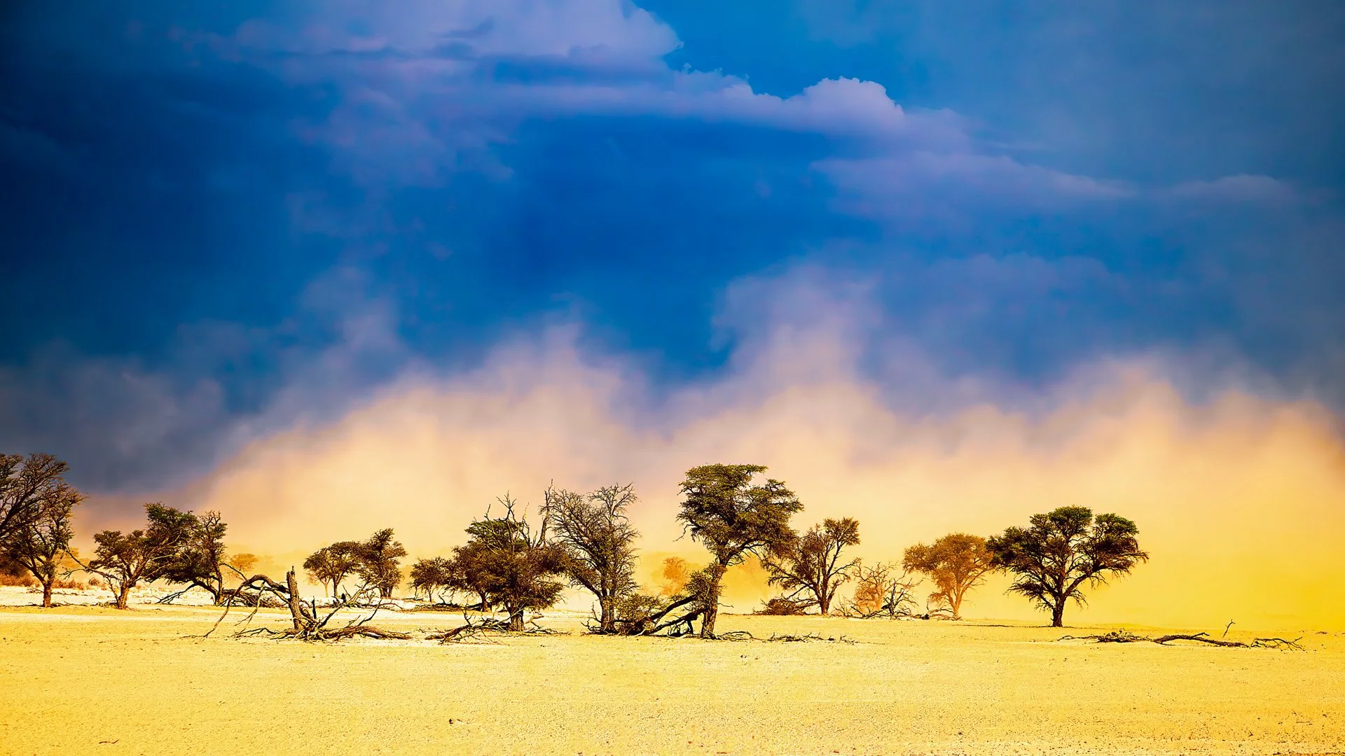 Earth dreams in gold