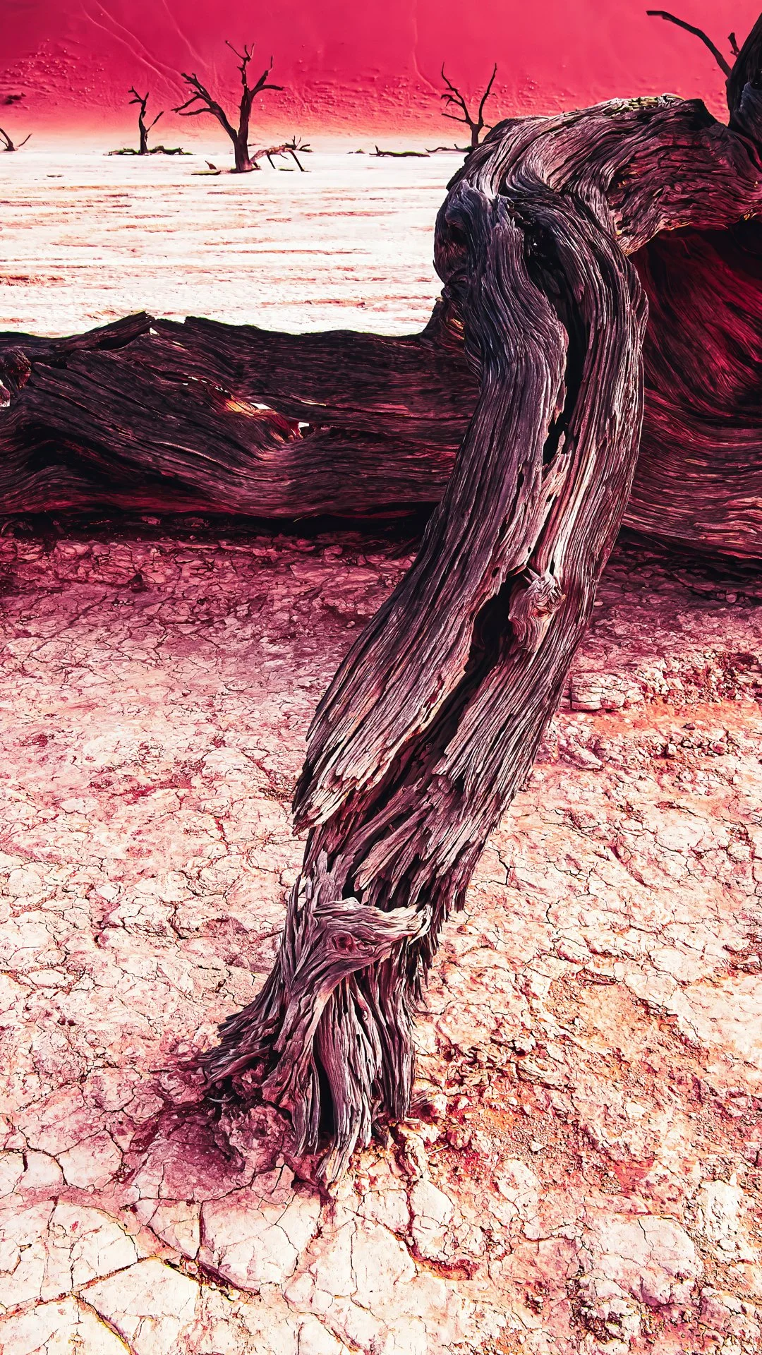 Twisted veins of time