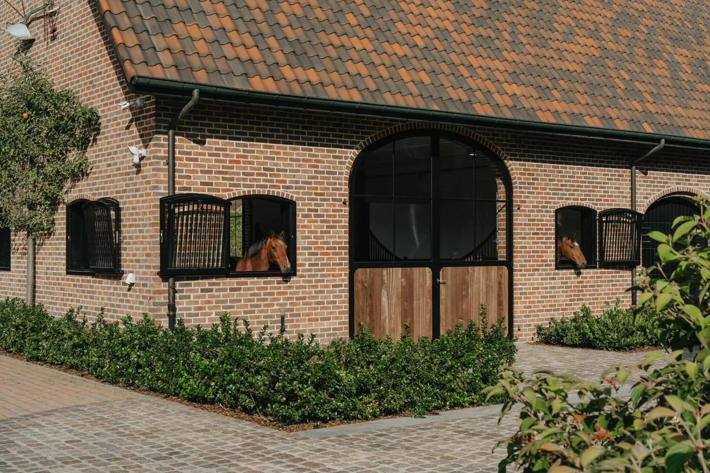 Twee paarden kijken uit de open ramen van een bakstenen paardenstal met een houten deur.