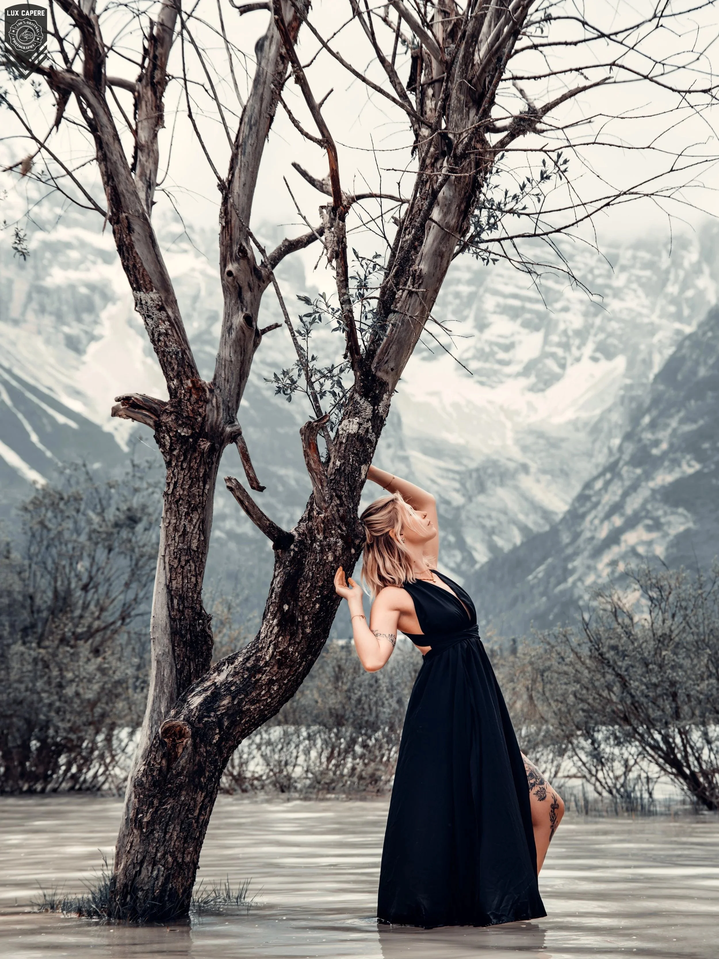 Eine Frau in einem schwarzen Kleid steht an einem Baum, der im Wasser steht. Im Hintergrund sind schneebedeckte Berge sichtbar. Portrait- und Cinematic-Fotografie von Lux Capere