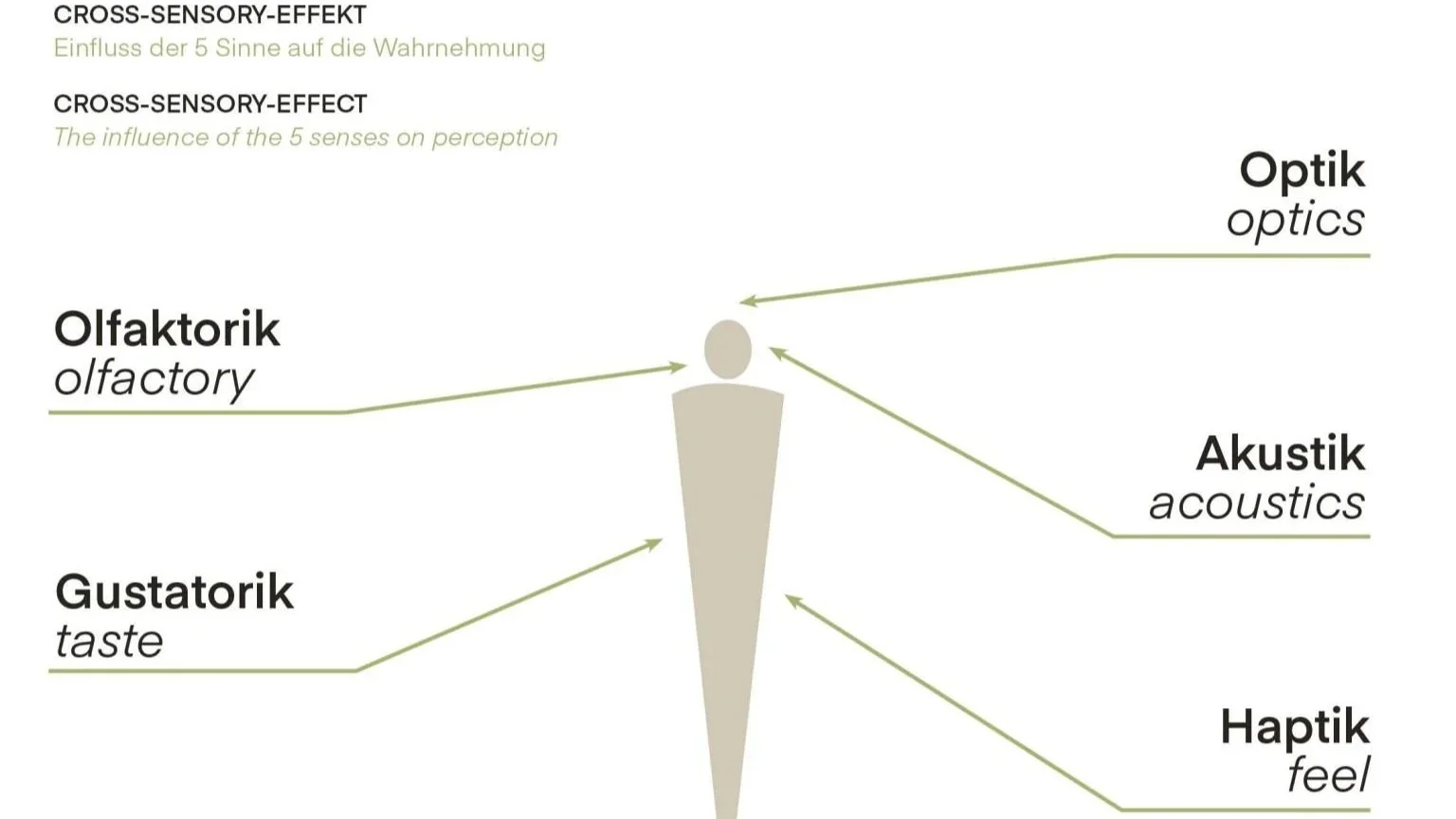 Ein Schaubild erklärt den Einfluss der 5 Sinne auf die Wahrnehmung