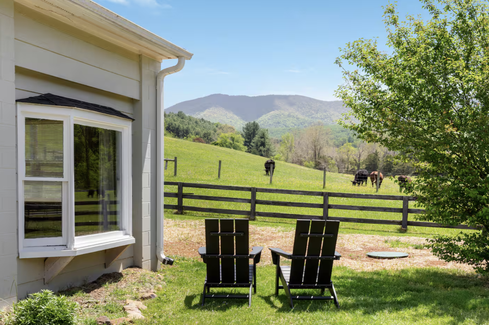 Cow and Mountain Views.png