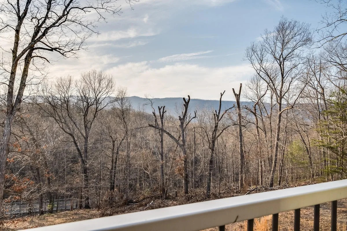 843e9e6d-d90d-45a8-a358-756372c45ac9.jpeg