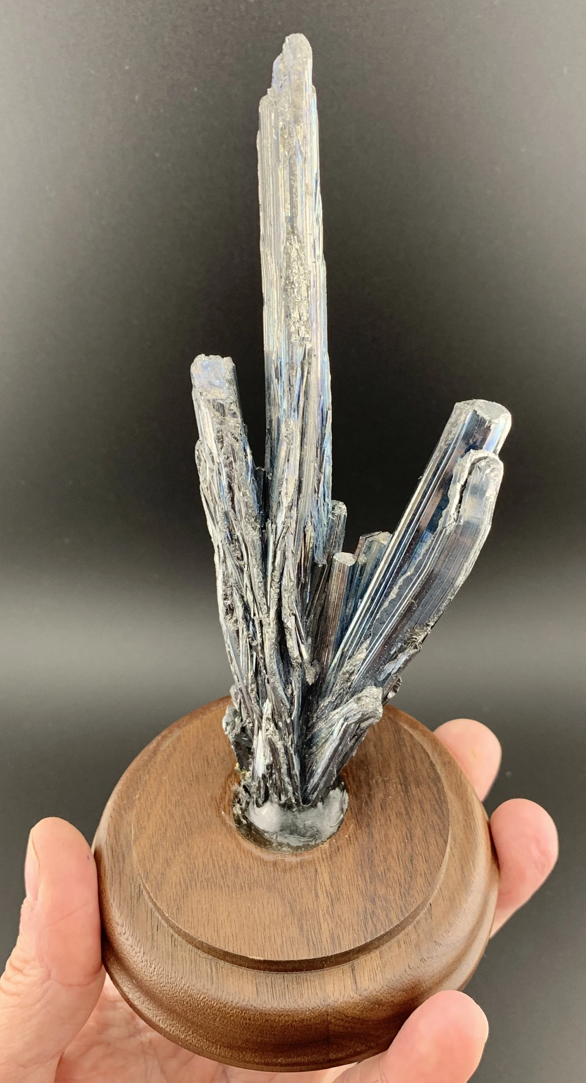 STIBNITE mineral specimen crystal from Xikuangshan Sb Deposit, Loudi, Hunan, China.