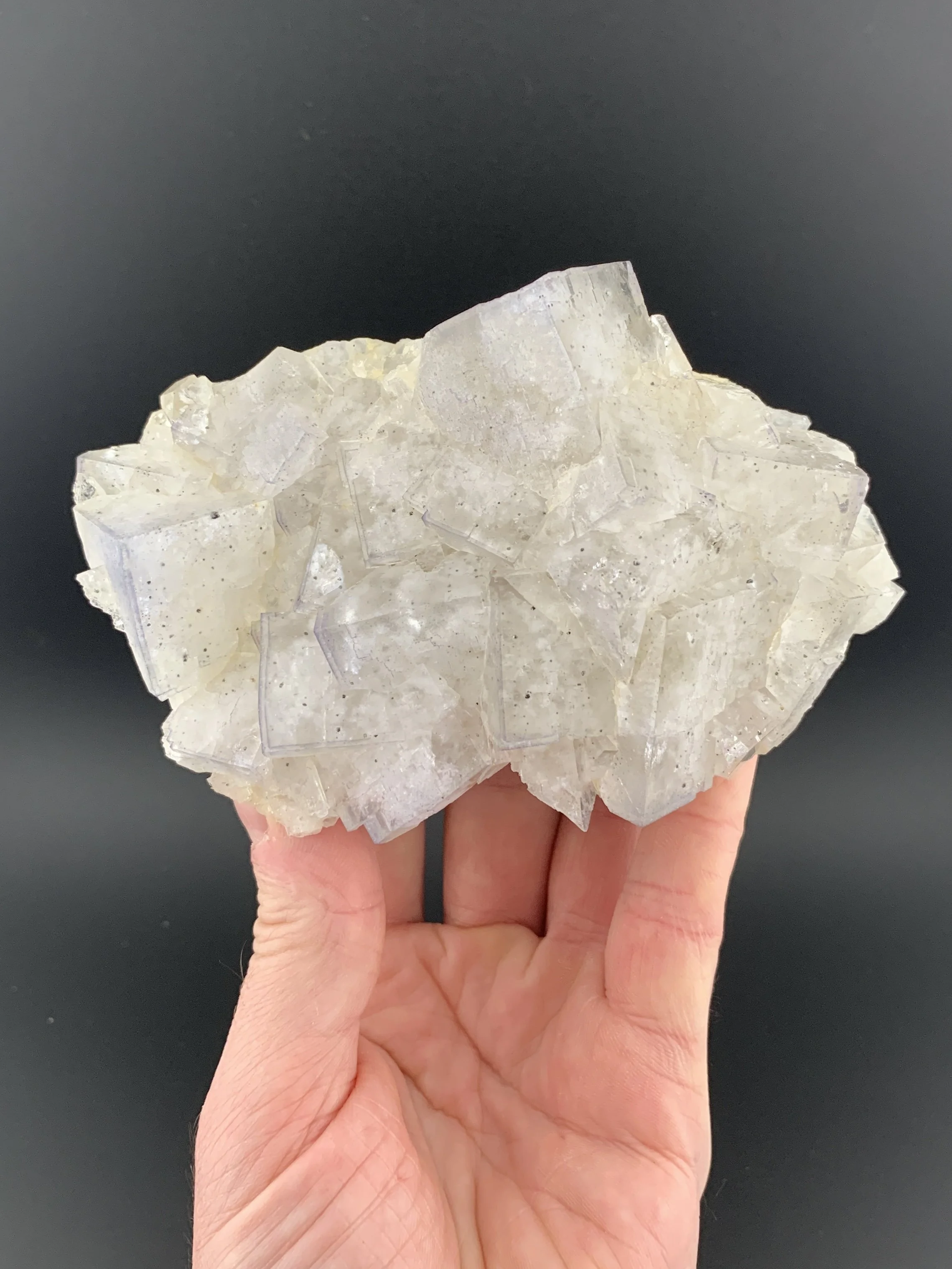 FLUORITE mineral specimen crystal from Gillheads Mine, Yorkshire, England, UK.