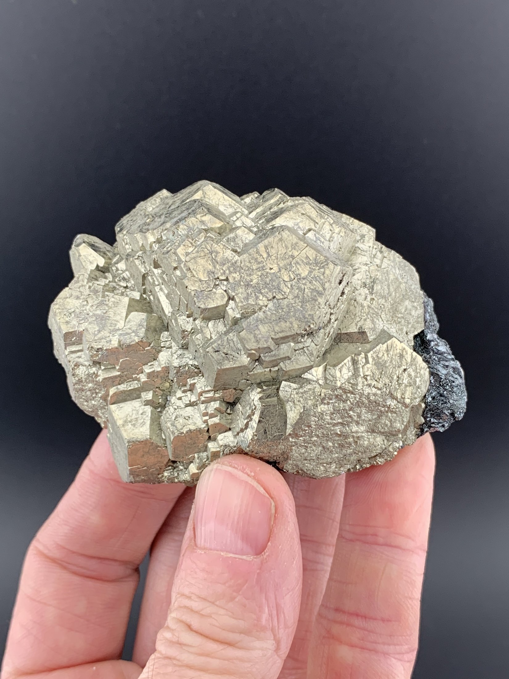 PYRITE mineral specimen crystal from Bacino Stope, Rio Mine, Rio Livorno, Tuscany, Italy