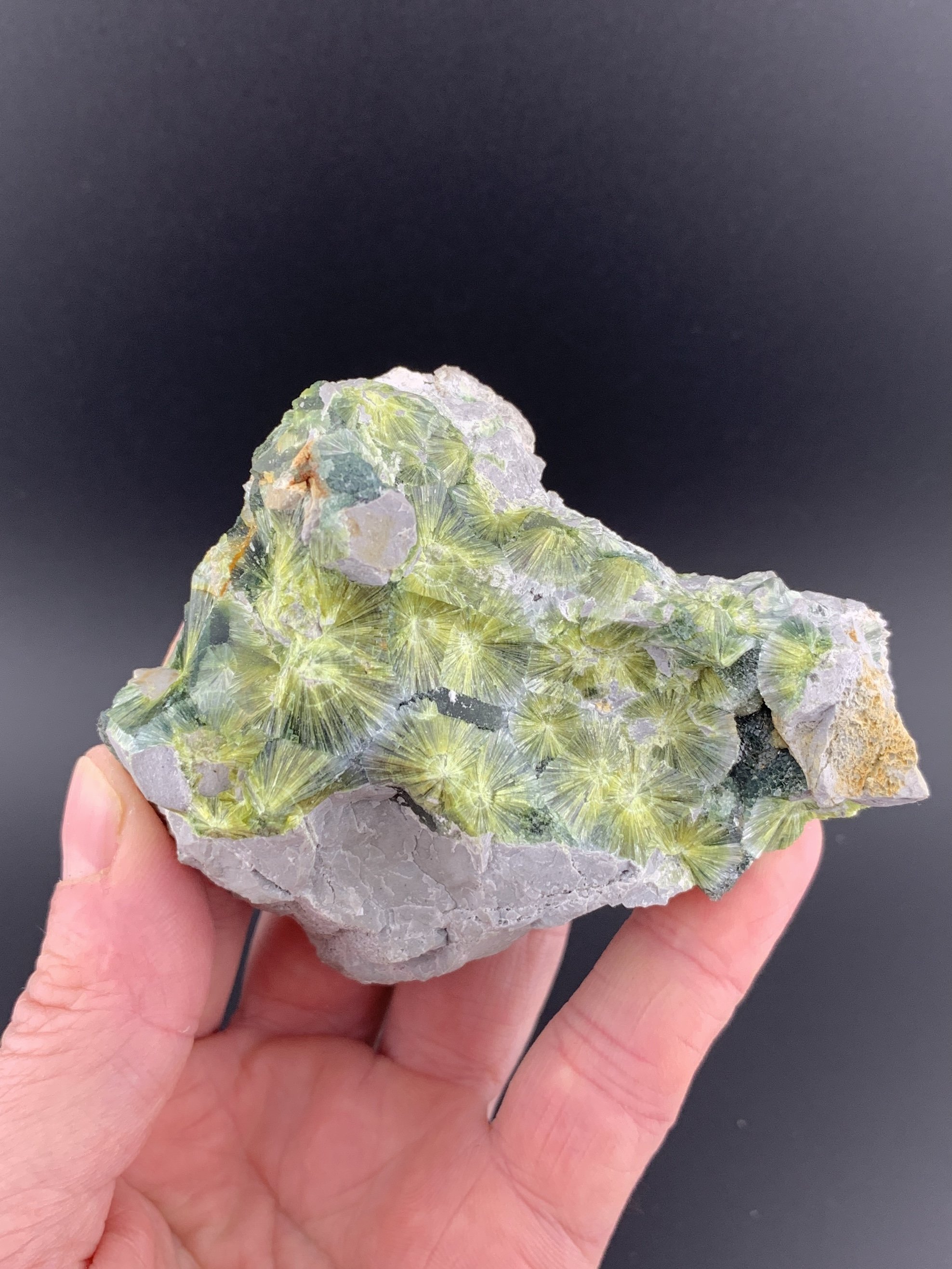 WAVELLITE mineral specimen crystal from Mauldin Mountain Quarries, Arkansas, USA.