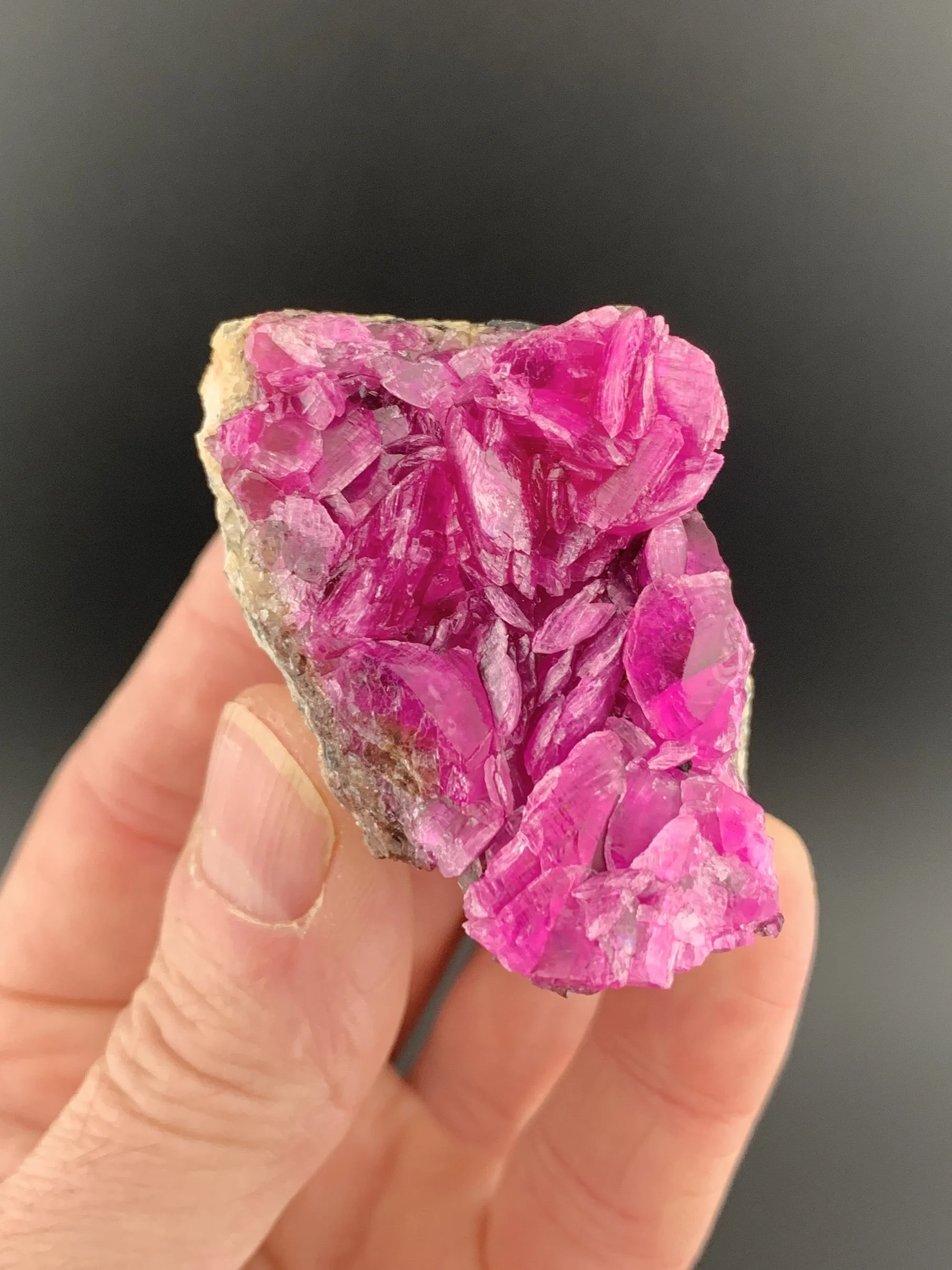 COBALTOAN CALCITE mineral specimen crystal from Sicomes, Mutshatsha, Lualaba, D.R.Congo.