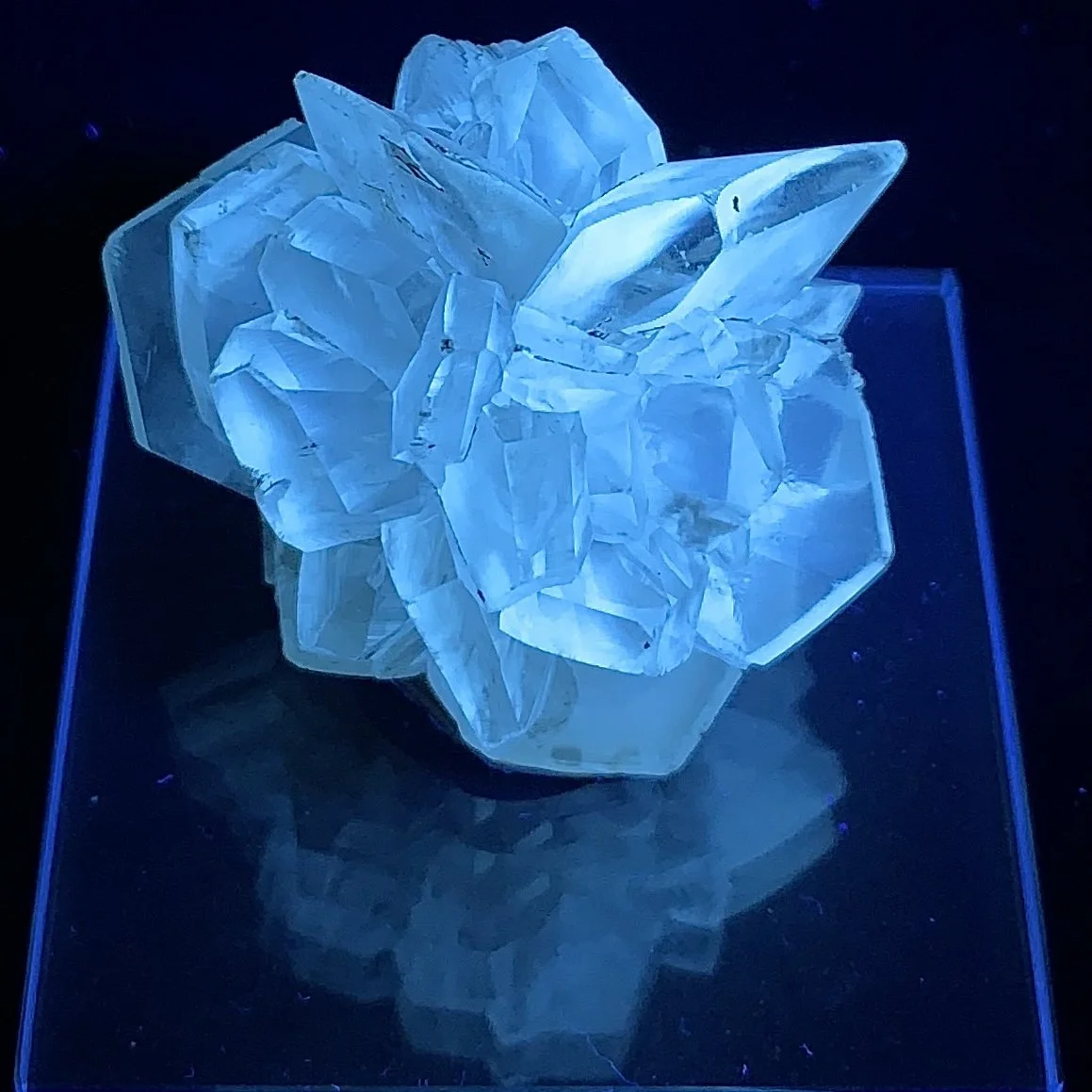 SELENITE GYPSUM mineral specimen crystal from Red River Floodway, Manitoba, Canada.