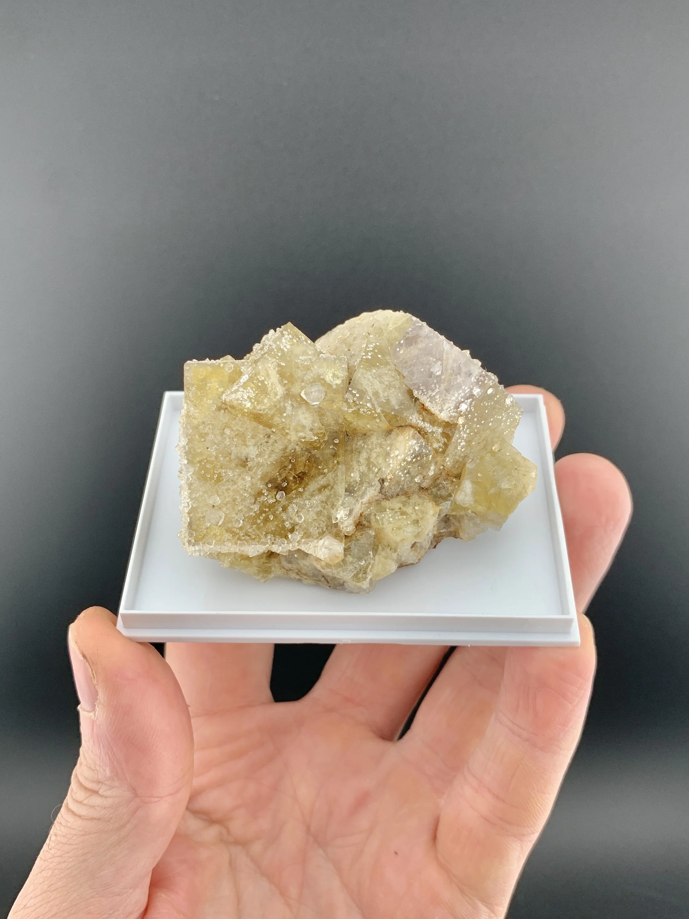 FLUORITE and QUARTZ from St.Peter's Mine, Allendale, Northumberland, England, UK. (MSM61).