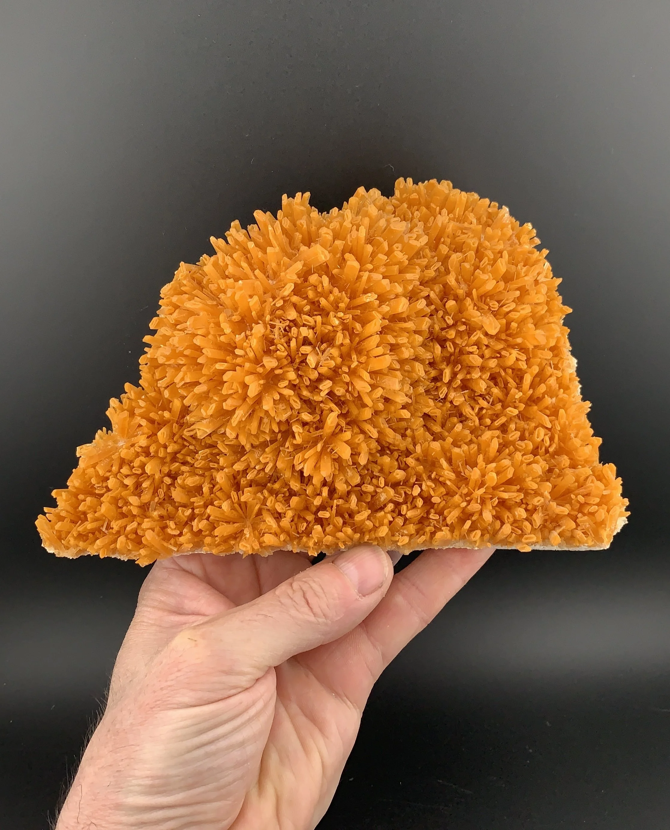 SELENITE GYPSUM mineral specimen crystal from Whyalla, South Australia.