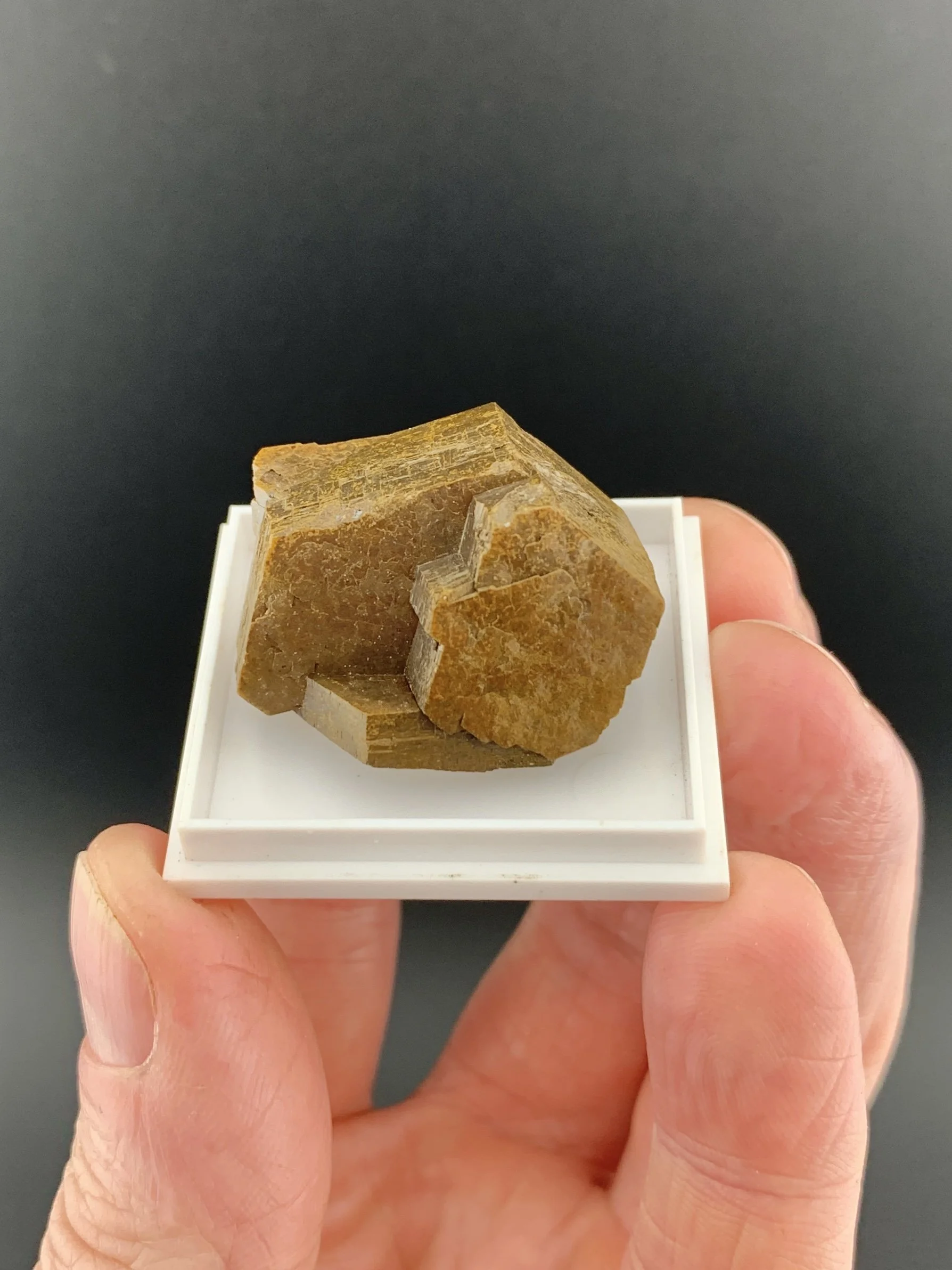 PYRRHOTITE mineral specimen crystal from Nikolaevskiy Mine, Dalnegorsk, Russia