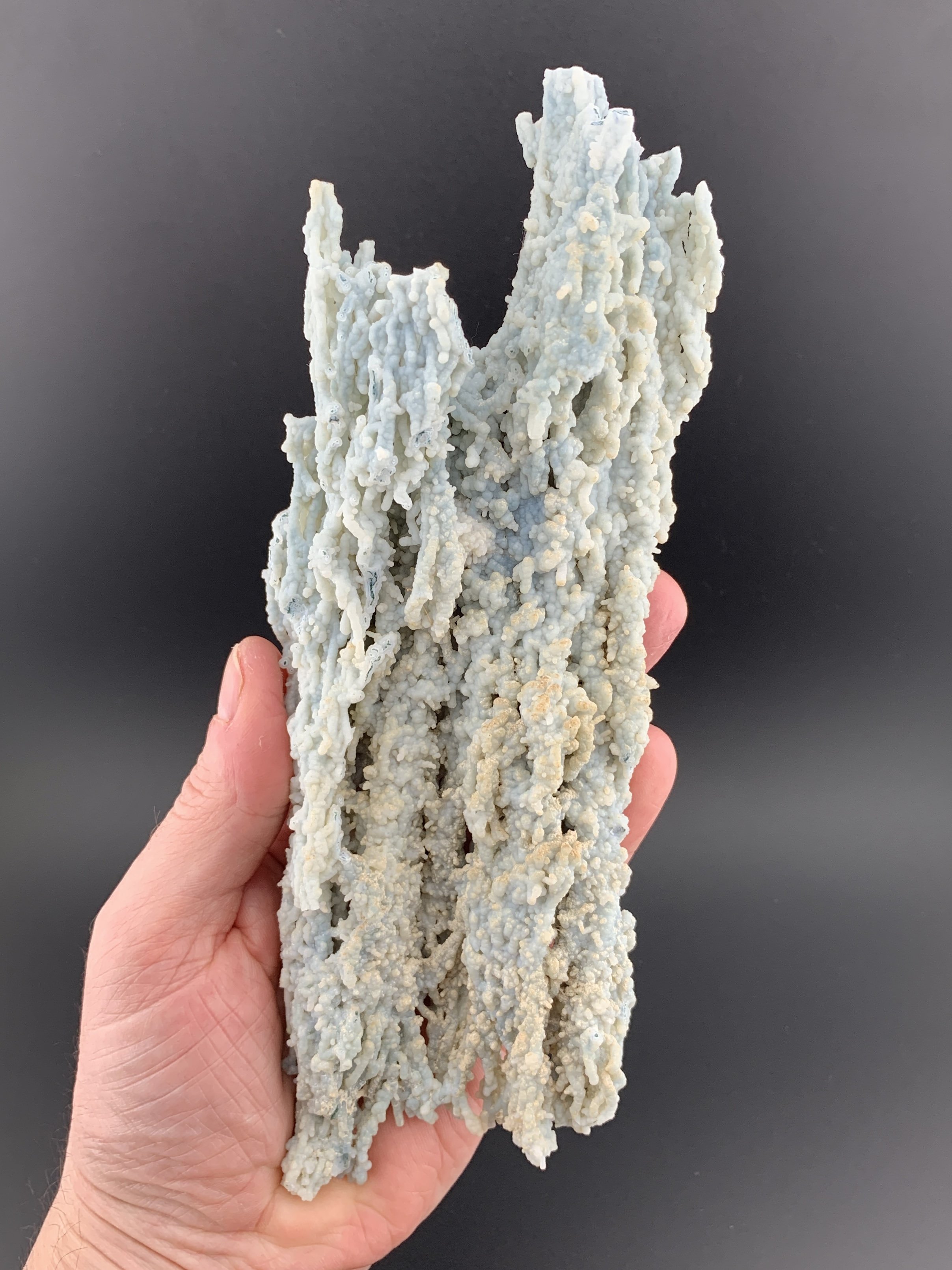 Blue CHALCEDONY mineral specimen crystal from Chhatrapati, Maharashtra, India