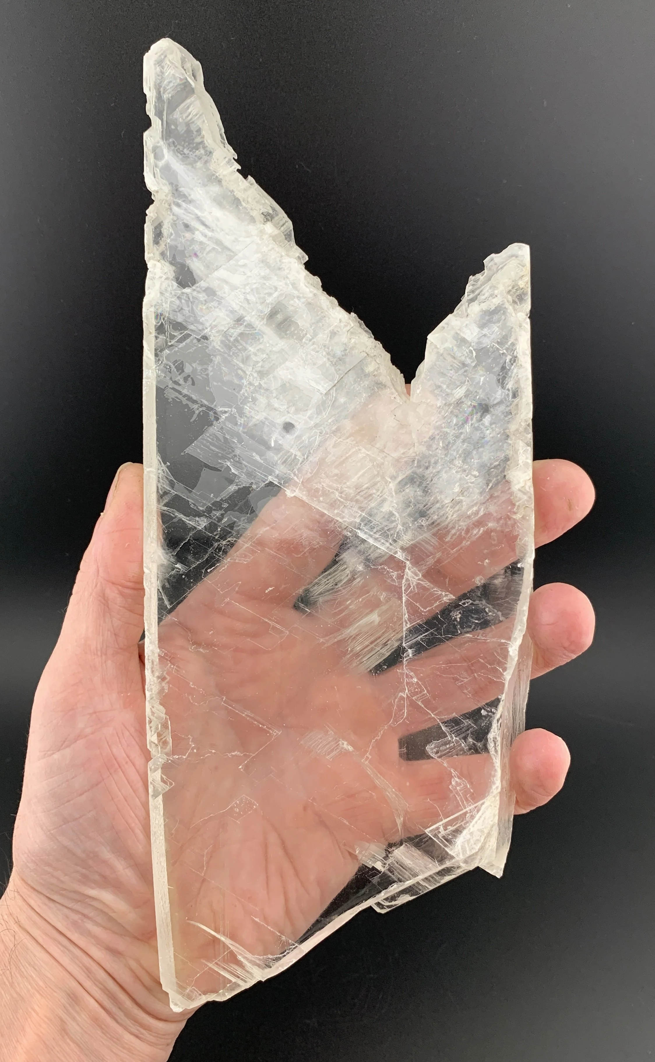 SELENITE GYPSUM mineral specimen crystal from Mountfield Mine, Rother, East Sussex, England, UK.