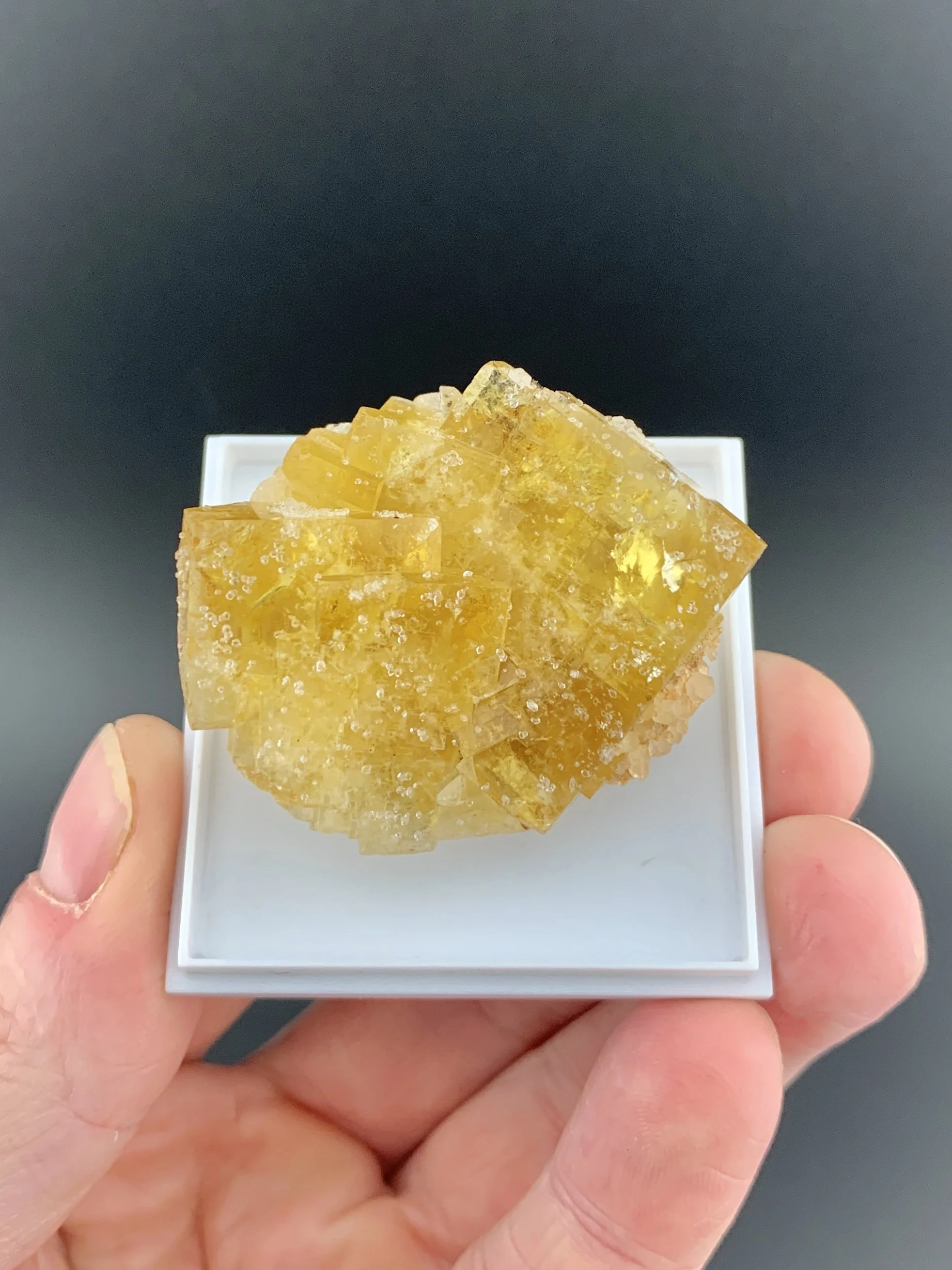 FLUORITE from Allenheads Mine, Allendale, Northumberland, England, UK. (MSM28).