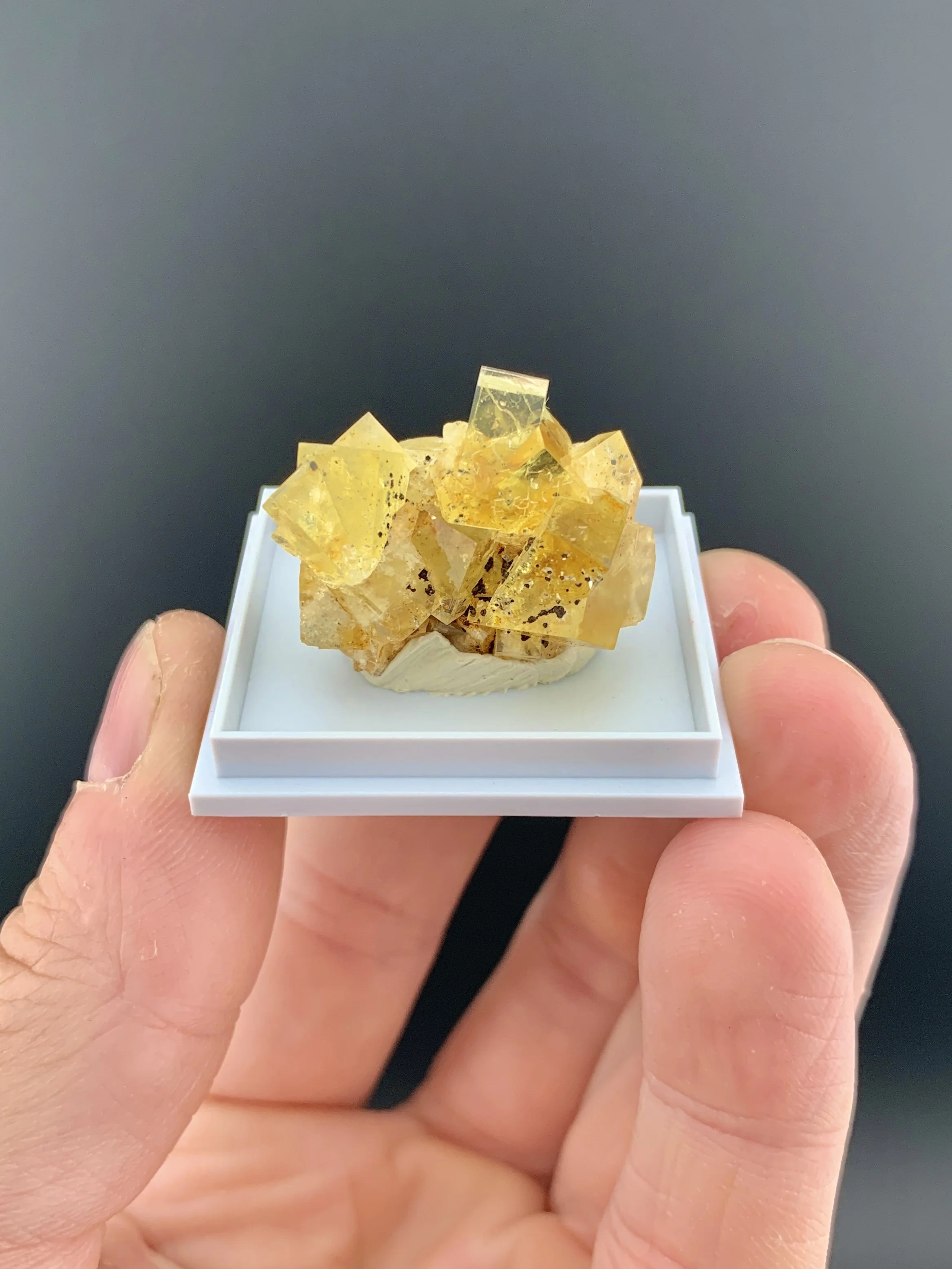 FLUORITE Twins from Hilton Mine, Scordale, Cumbria, England, UK. (MSM60).