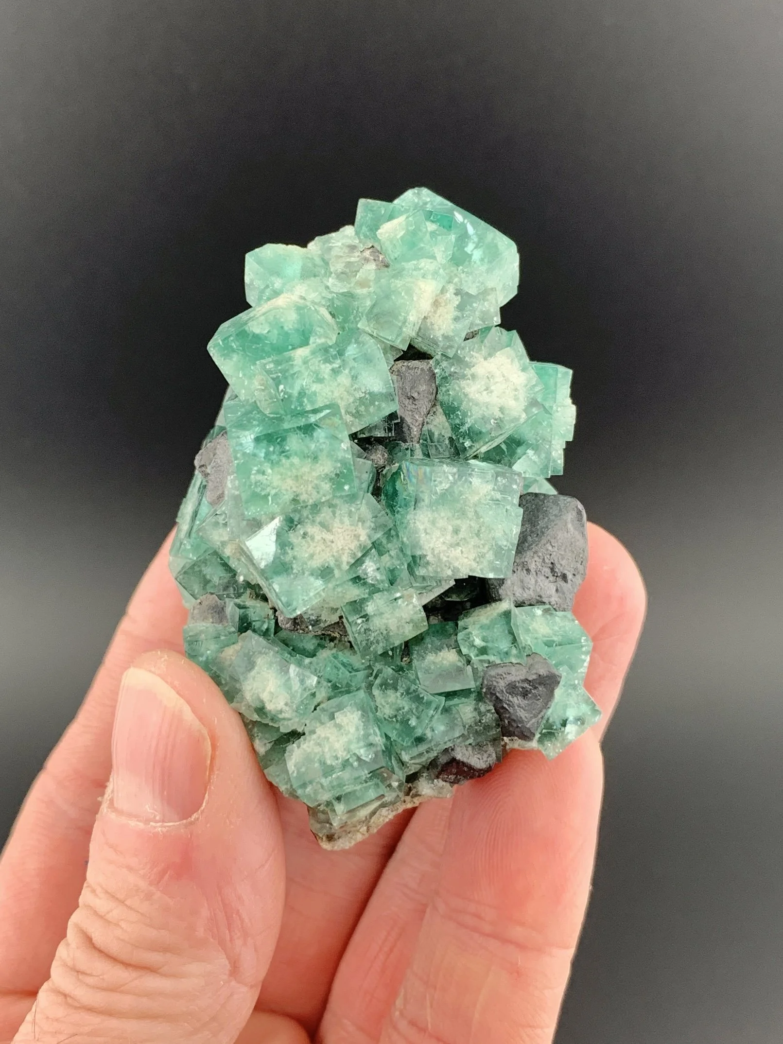 FLUORITE with GALENA mineral specimen crystal from Rogerley Mine, Weardale, England, UK.