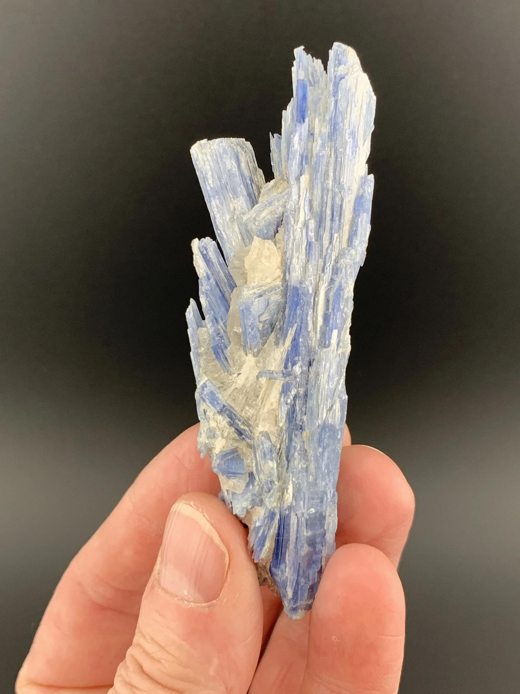 KYANITE mineral specimen crystal from Barra Do Salinas, Minas Gerais, Brasil.
