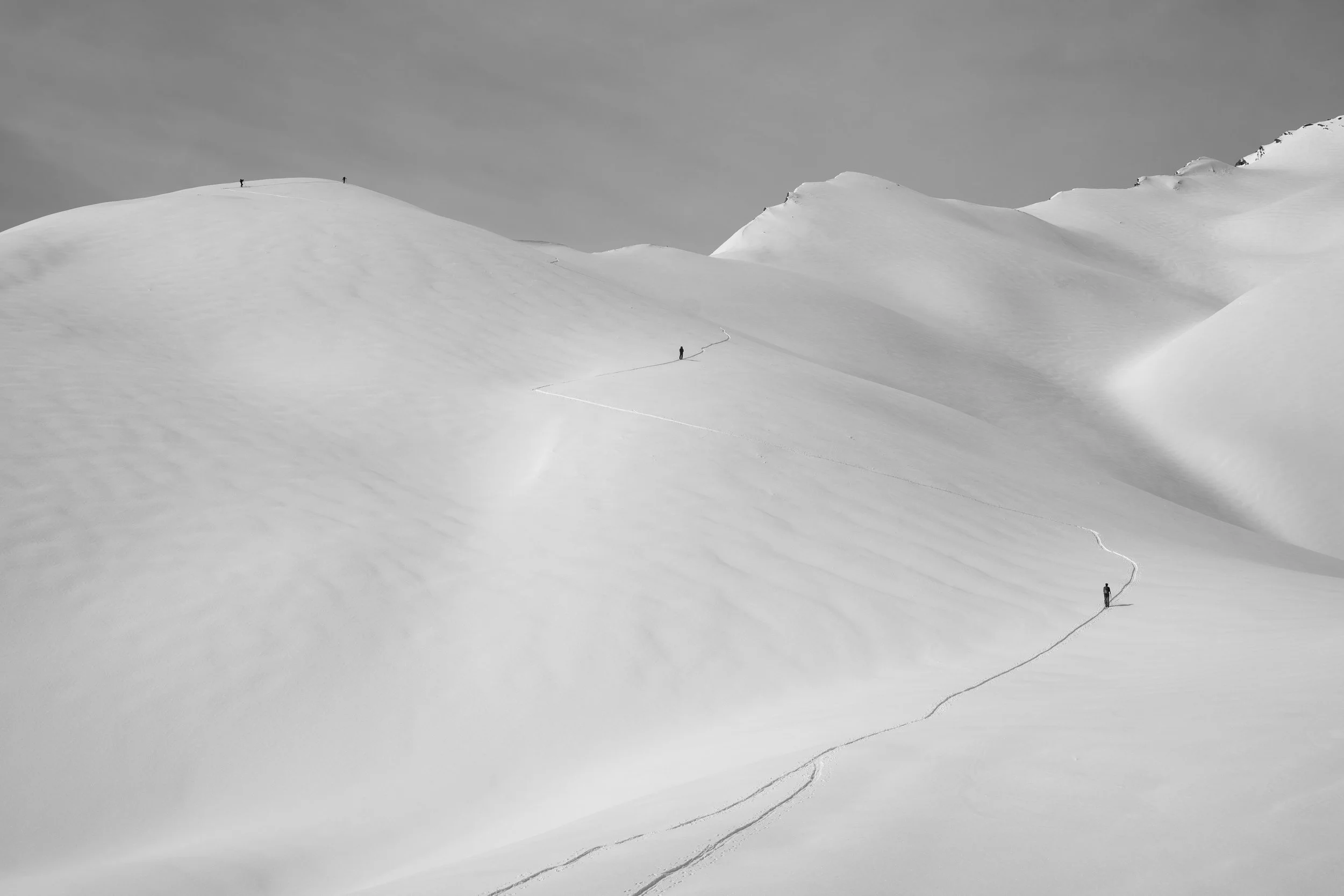 P1005377-2.jpg