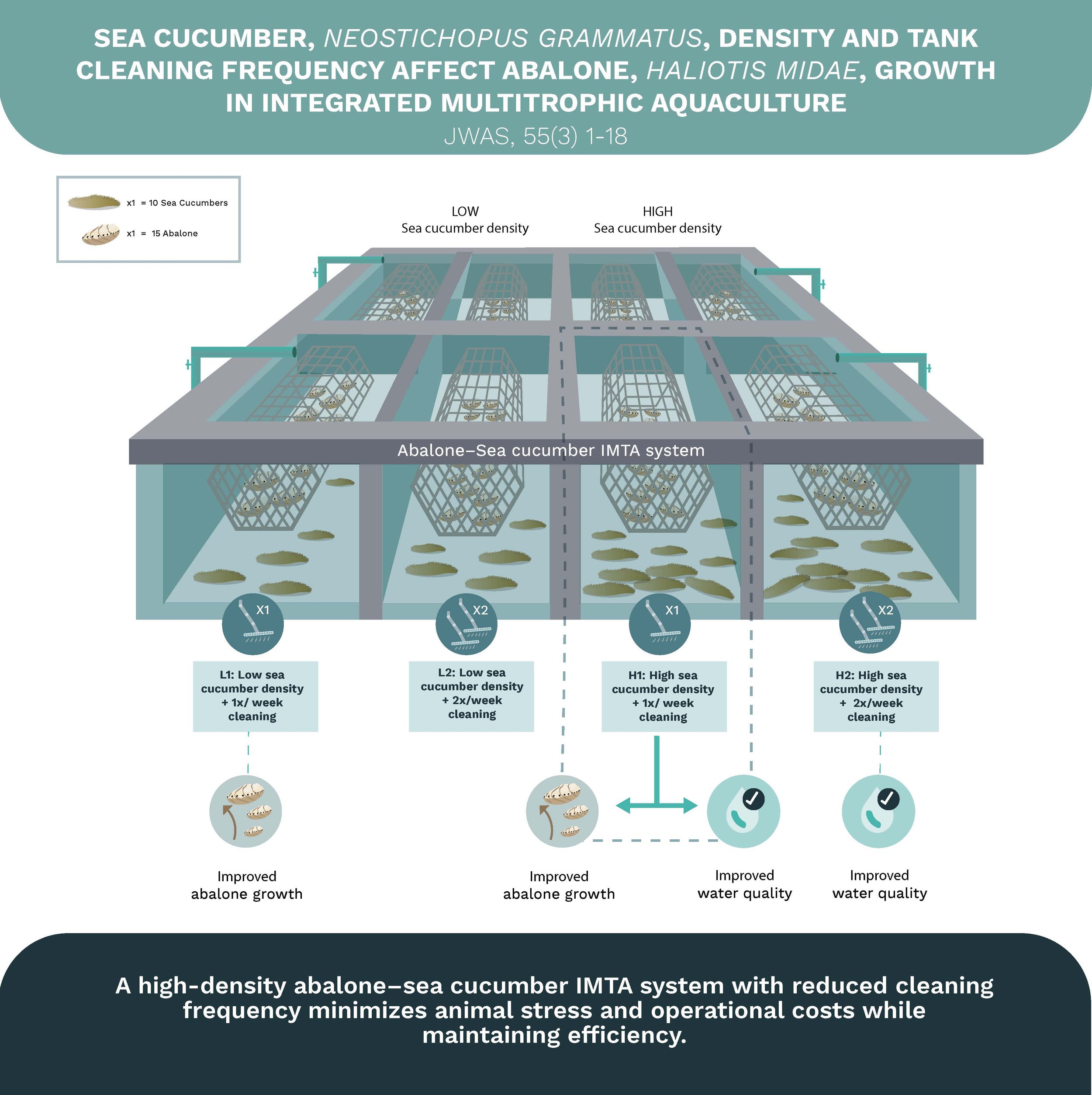 Graphical Abstract JWAS.jpg