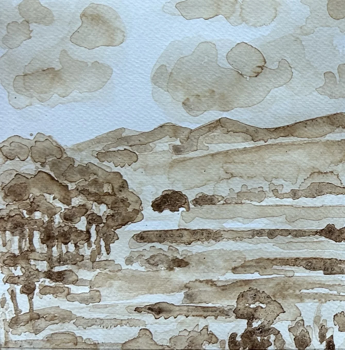 Coffee ii. dark roast on paper. 8 x10 $250