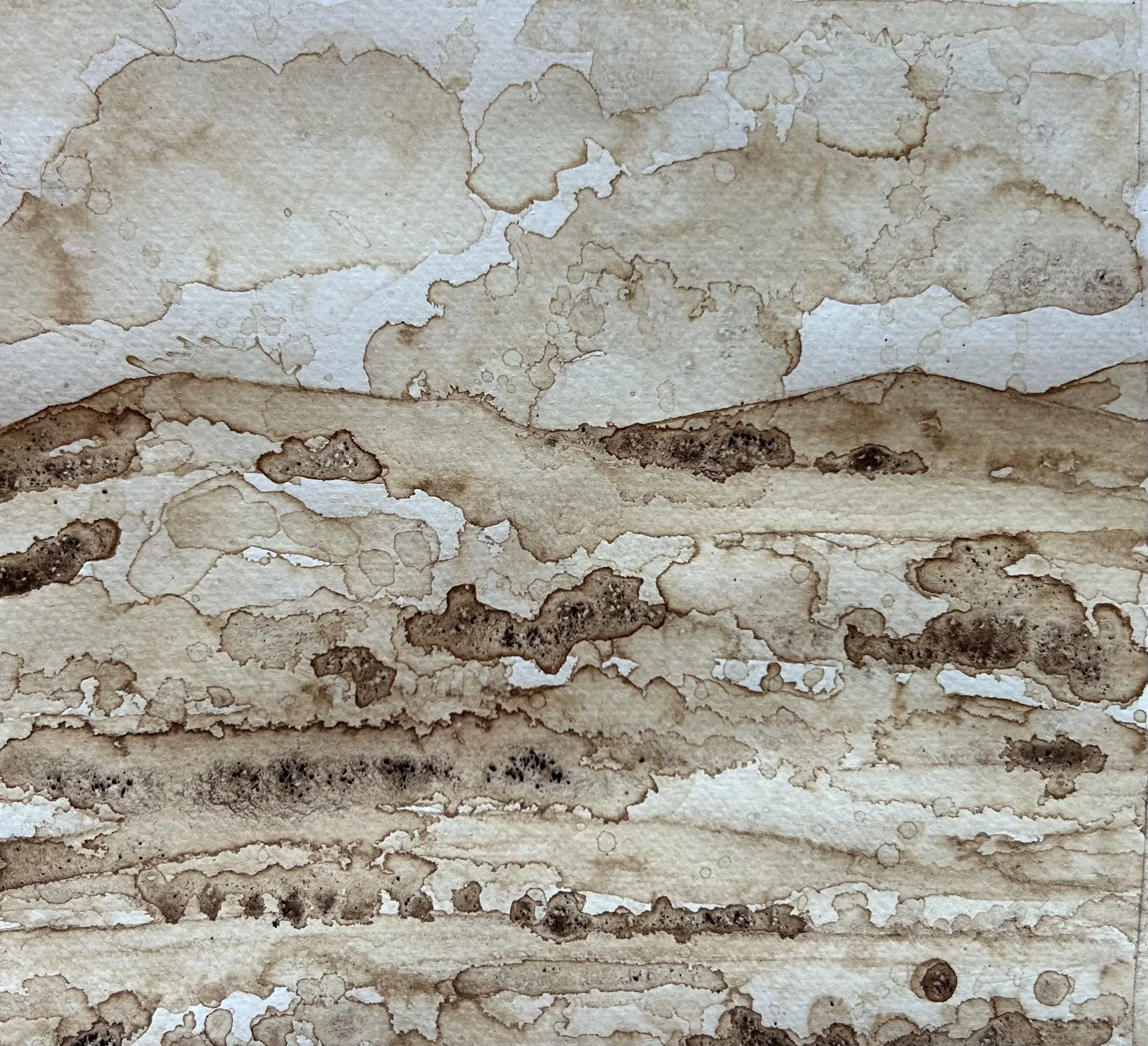 Coffee iv. dark roast on paper. 8 x10 $250