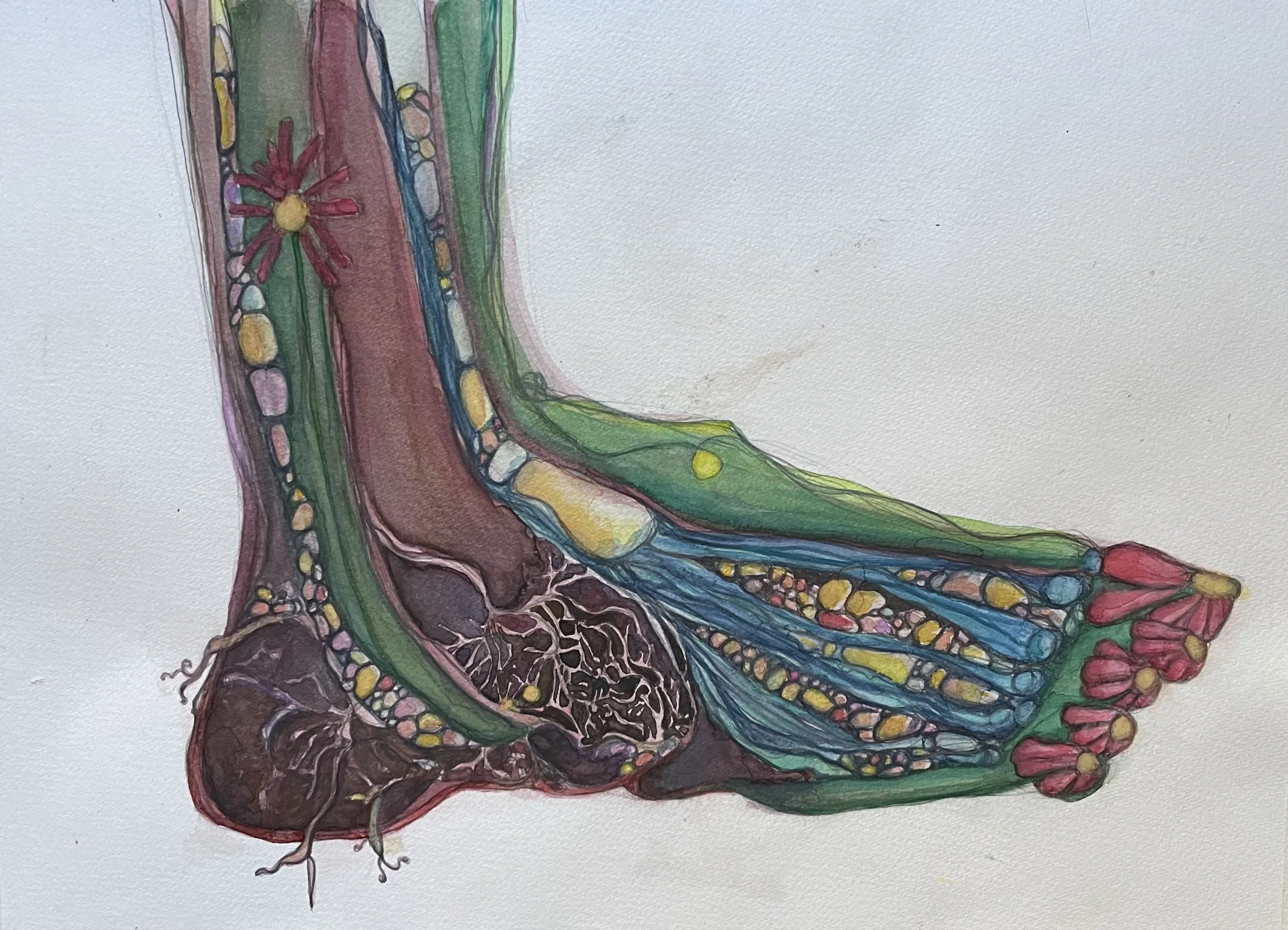 Grounding
watercolor on paper
8 x 10
Private Collection