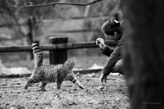 A girl in a long-sleeve shirt playing with a striped tabby cat outdoors.