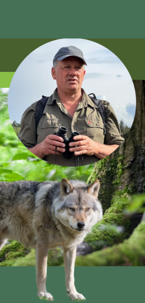 A man in outdoor gear holding binoculars, outdoors in a forested area with a wolf in the foreground.