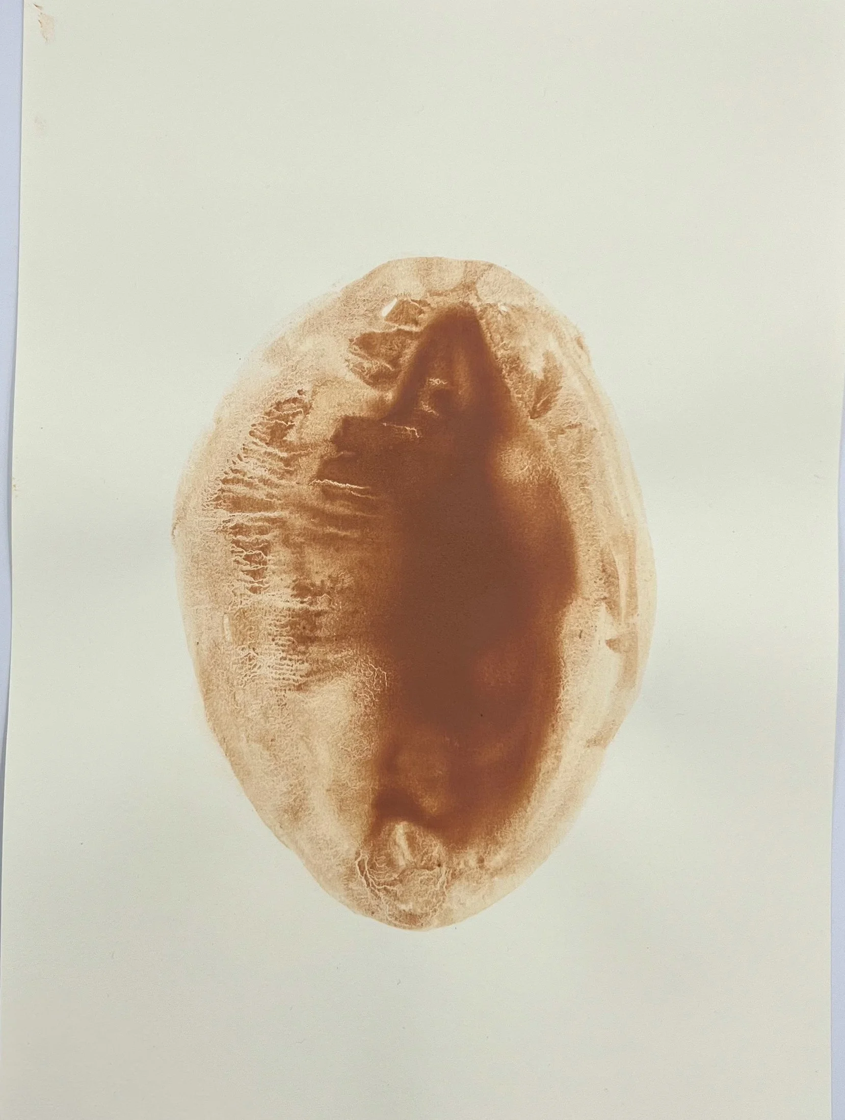 Aquarela de argila em pó sobre papel