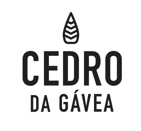 Cedro da Gávea
