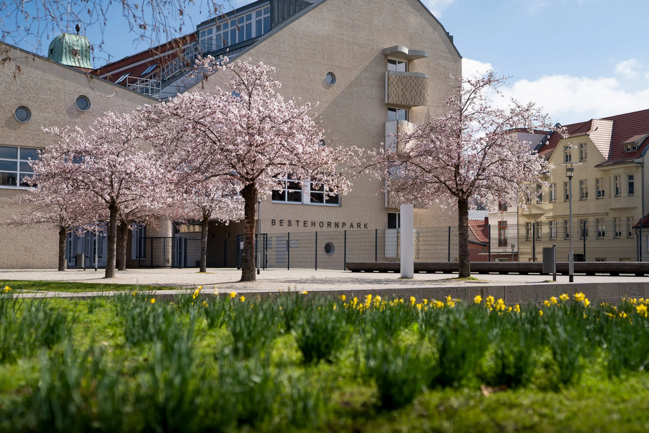 Mehrere blühende Kirschbäume vor einem modernen Gebäudekomplex mit dem Schriftzug 'Bestehornpark'.