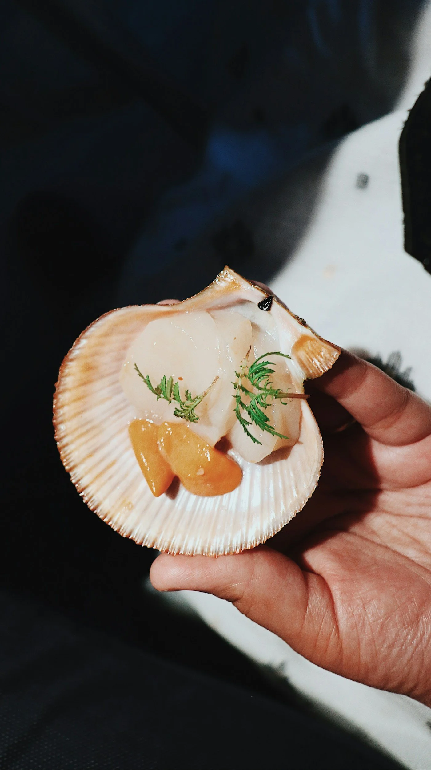 A person holding a seashell with scallops, garnished with herbs and orange slices, against a dark background.