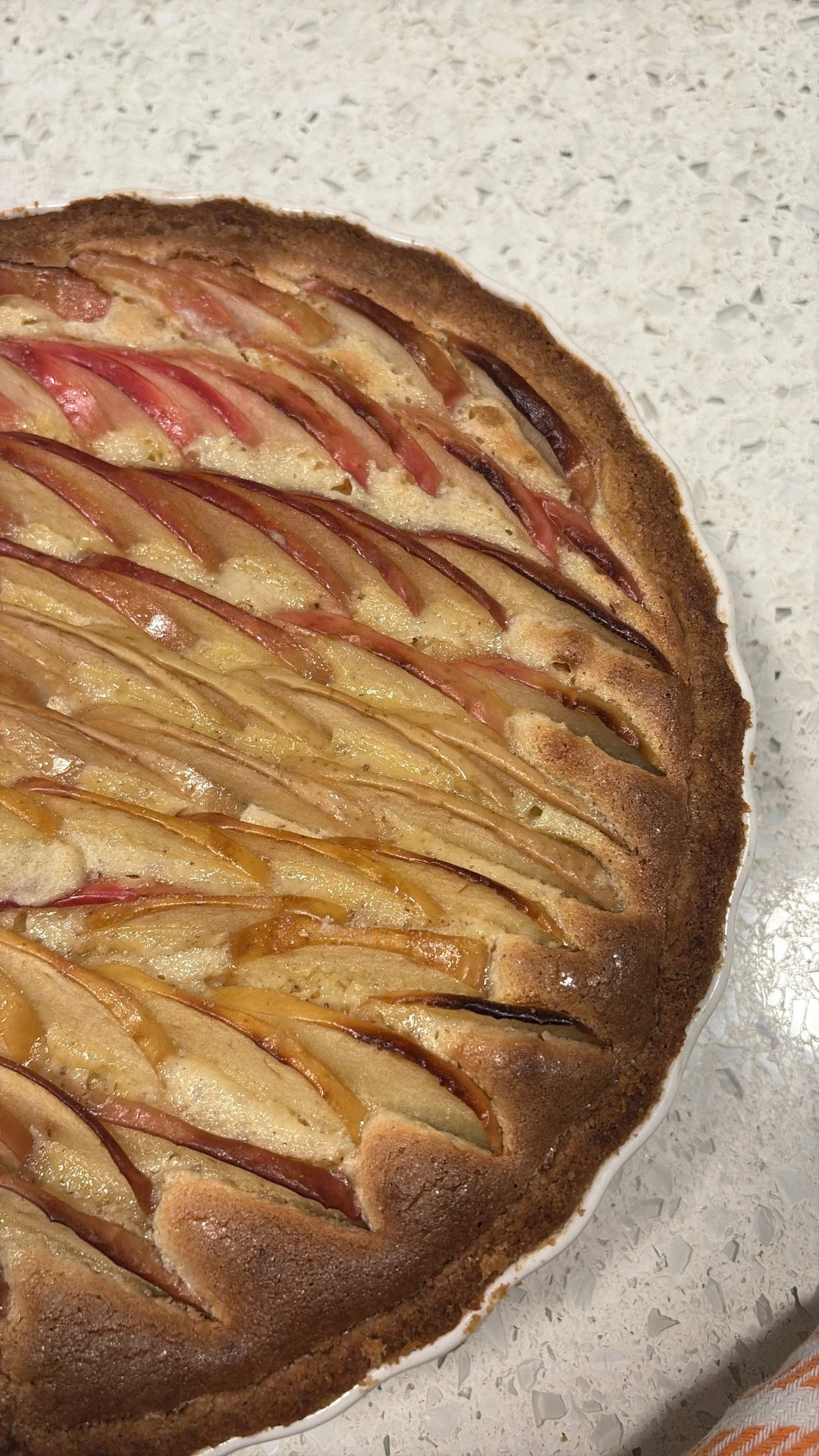 A freshly baked apple tart in a white dish on a speckled countertop.