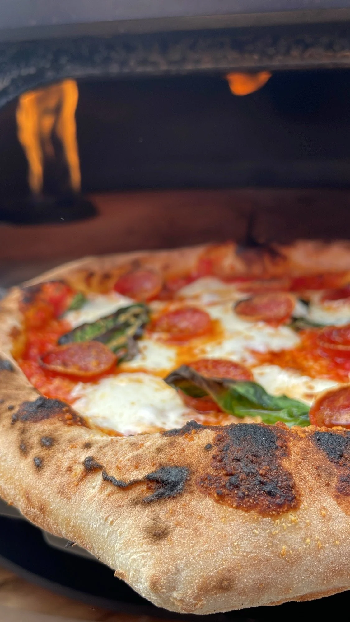 Close-up of a pepperoni pizza with basil leaves, freshly baked in an oven.