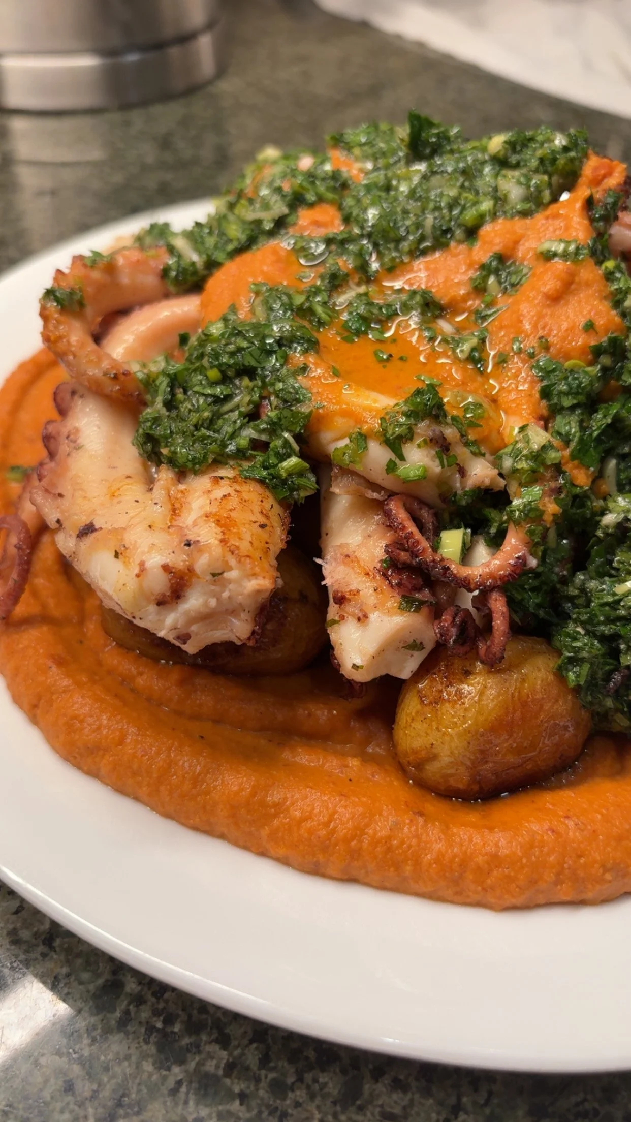 Close-up of a seafood dish with grilled calamari, herbs, and sauce on a white plate.