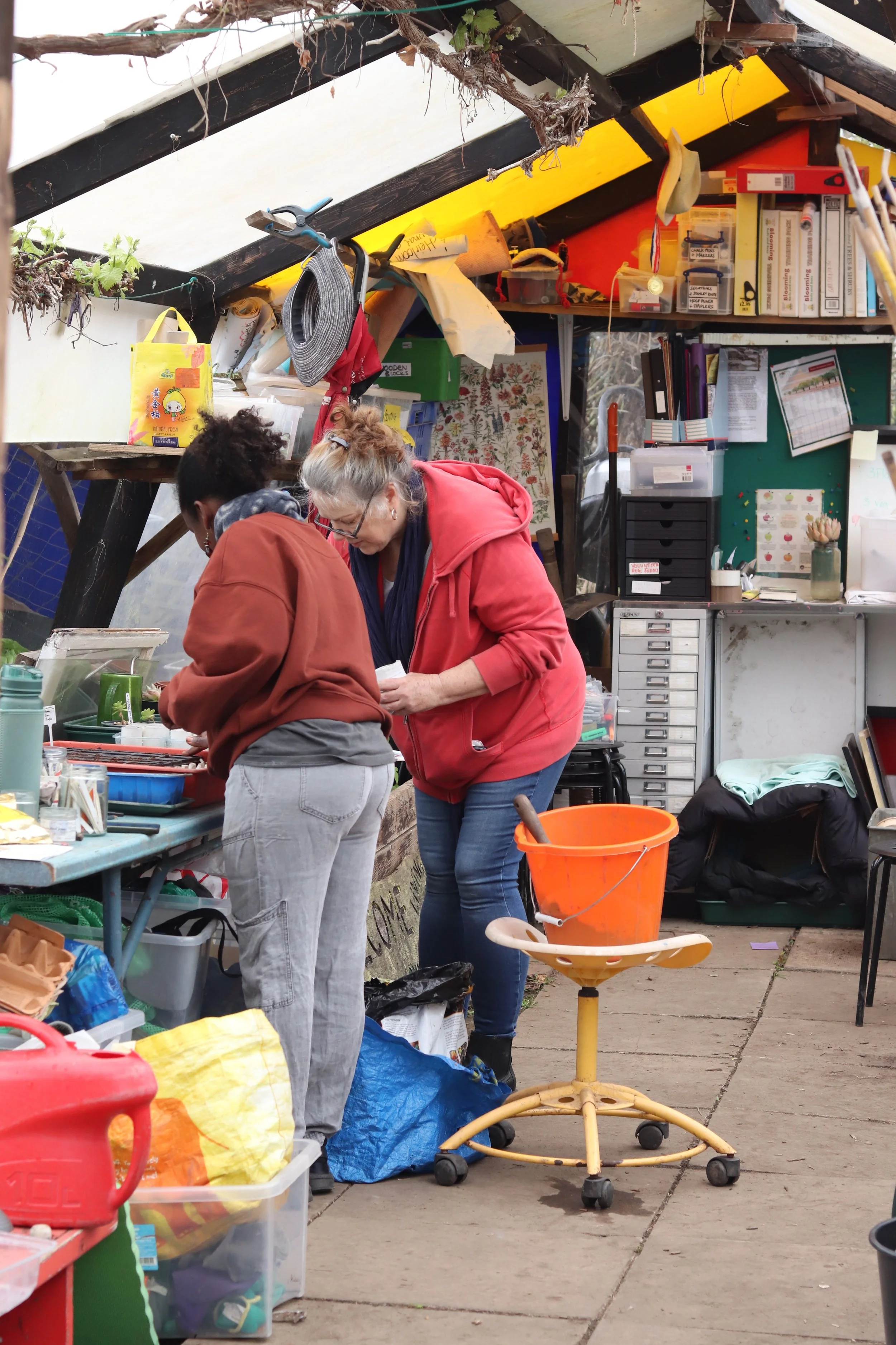 Sunday Volunteering Session