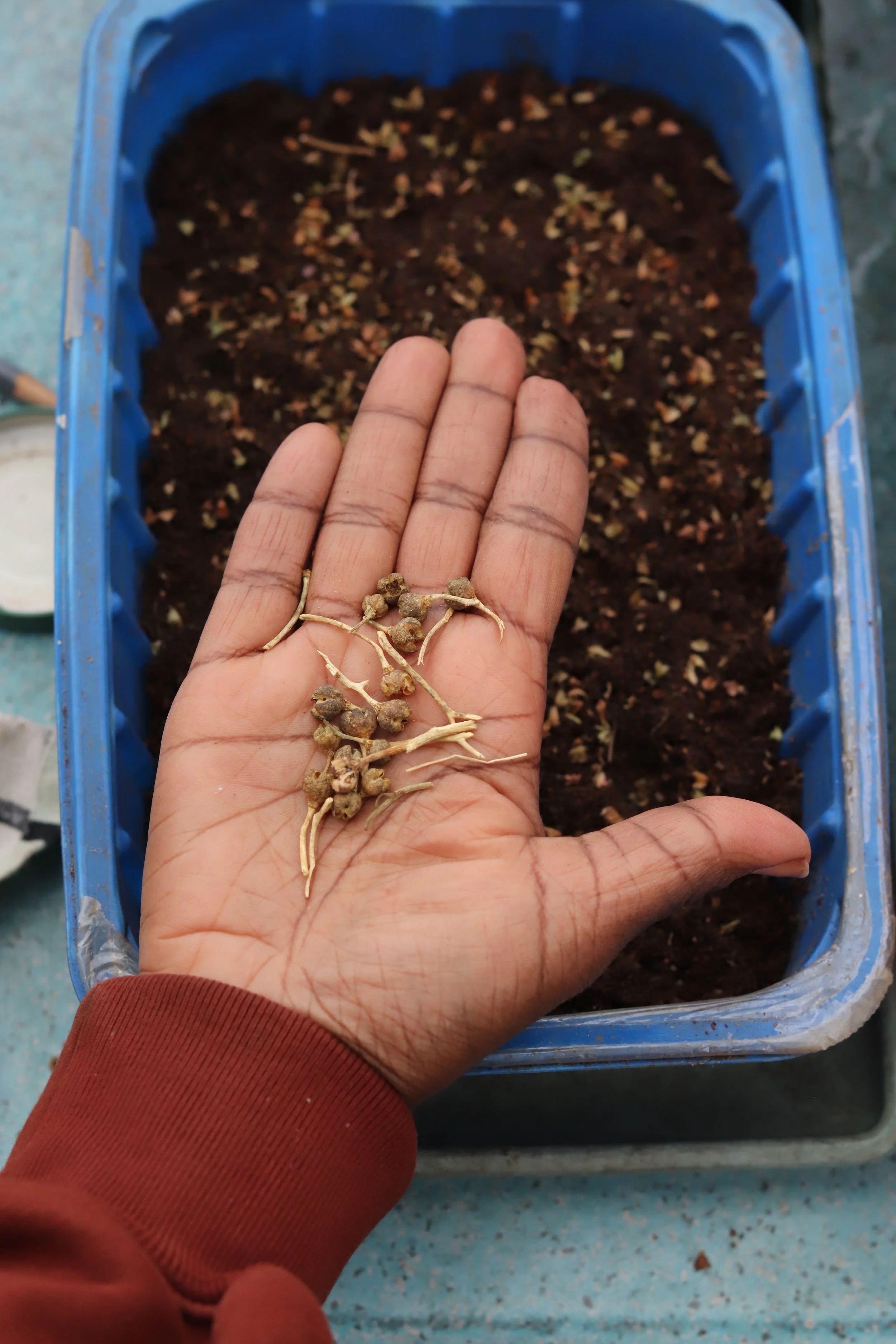 Thursday Volunteering Session