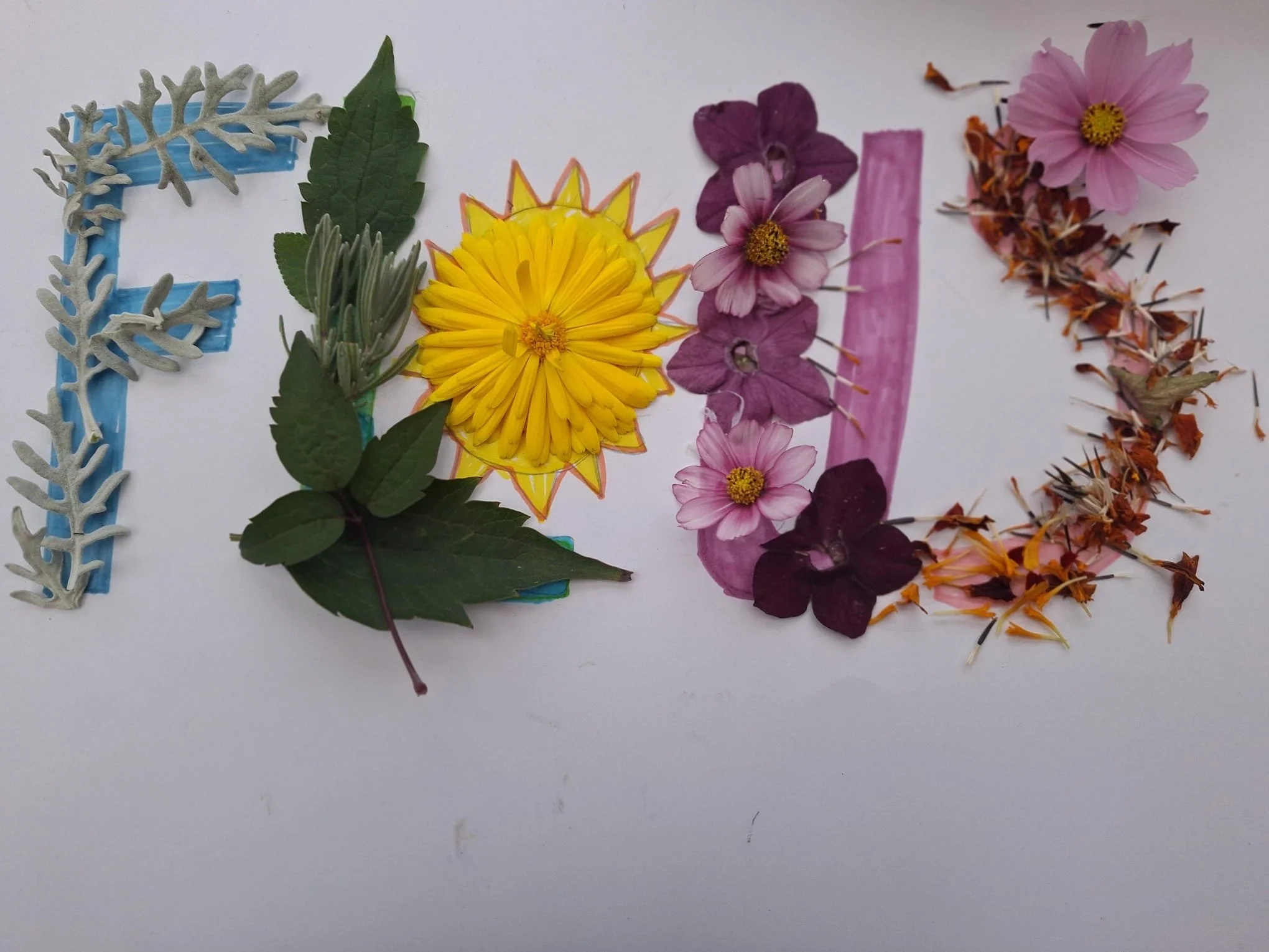 WhatsApp Image 2025-11-09 at 6.07.18 PM.jpeg