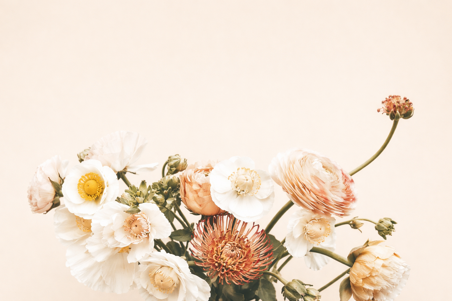 Floral illustration