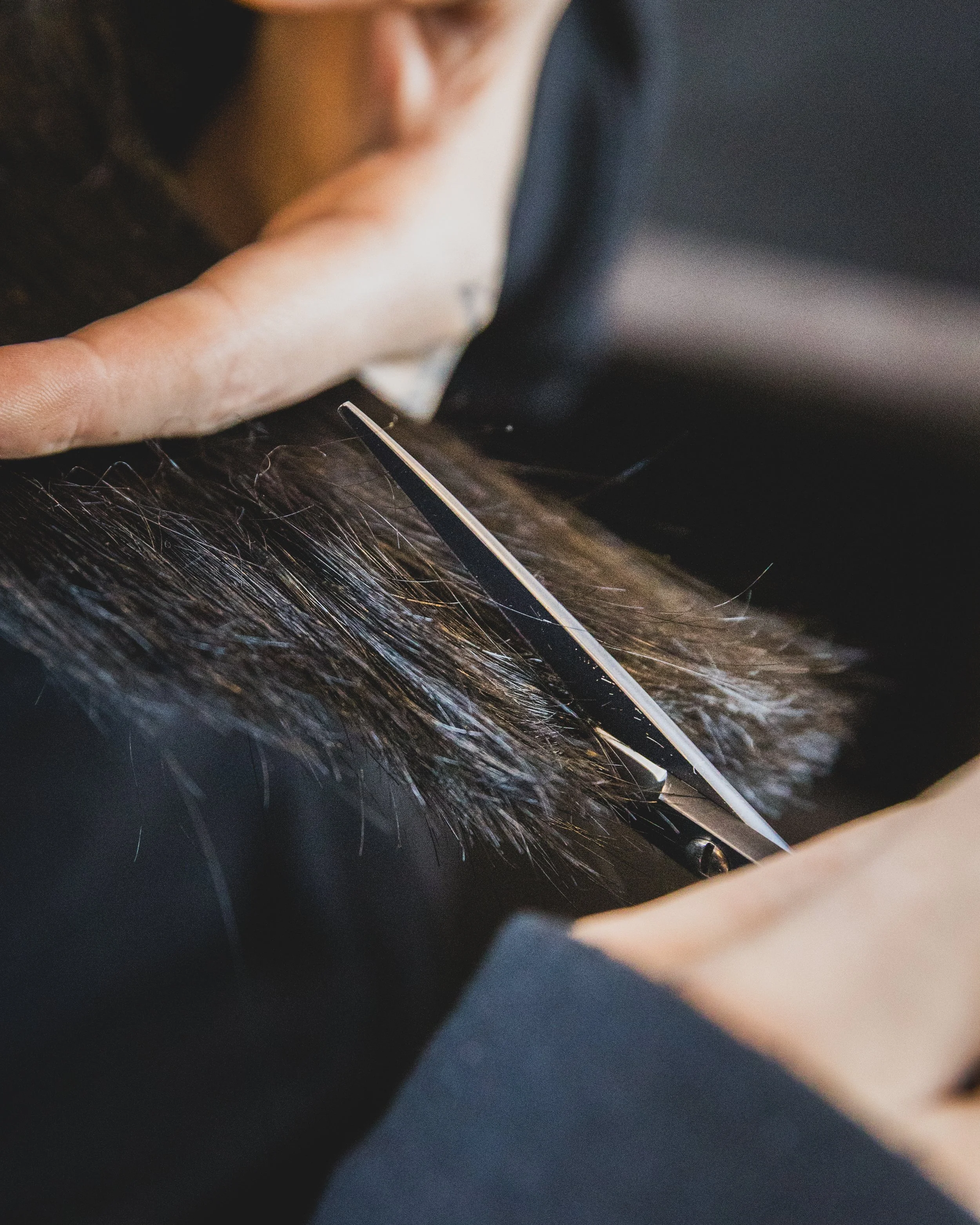 Hair Stylist Bristol