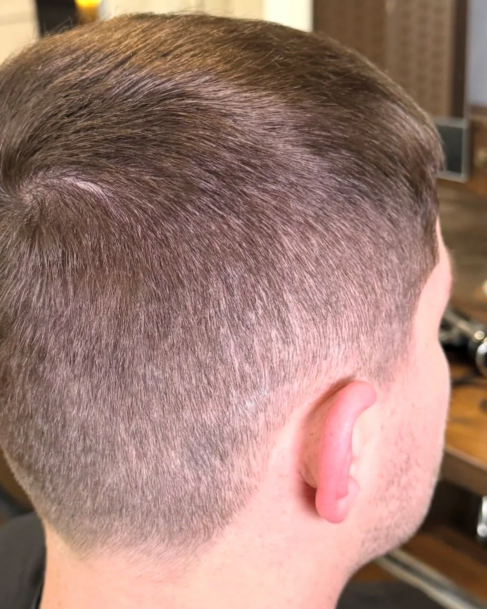 Close-up of a persons freshly cut short hairstyle, showing the fade from the scalp to the longer hair on top. Gents cut.